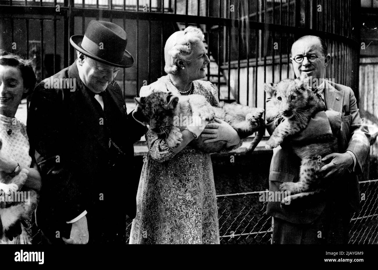 Mr. and Mrs. Churchill paid a surprise visit to the London Zoo where they receives a great welcome from the holiday at Home Crowds. Mr. and Mrs. Churchill with 'Betad' Lion cubs. October 25, 1943. (Photo by Sport & General Press Agency Ltd.). Stock Photo