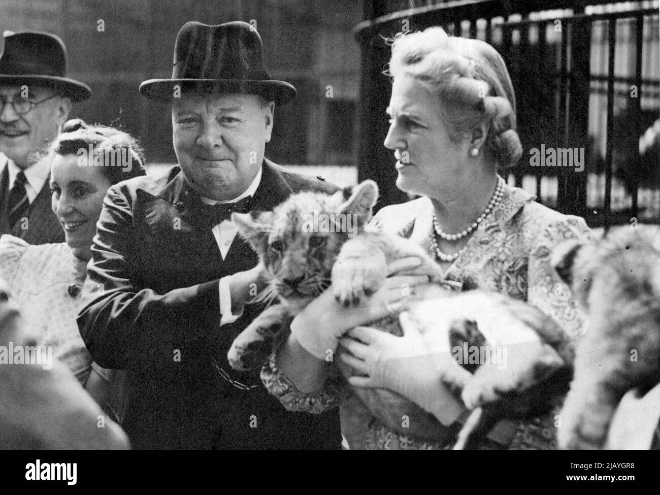 Mr. Churchill At The Zoo - Mrs. Churchill holds 'Tunis' while Mr. Churchill looks on. Mr. Winston Churchill accompanied by Mrs. Churchill paid a surprise visit to the Zoo to-day to see his lions and cubs. The holiday crowds gave them a tremendous welcome. July 26, 1943. (Photo by Topical Press). Stock Photo