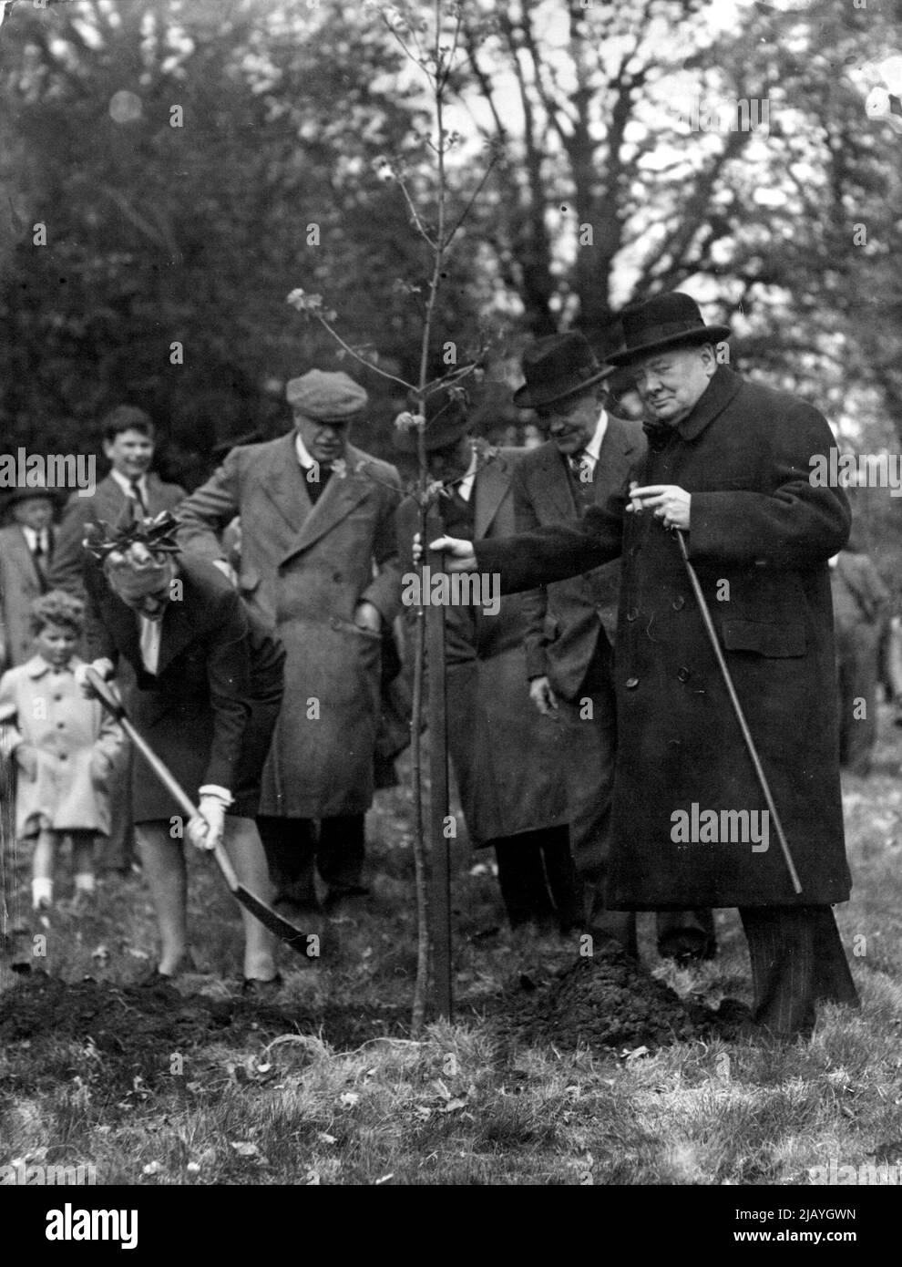 Mr. Winston Churchill Visits Edinburgh : Mrs. Churchill shovels in the earth, while Mr. Winston Churchill holds the young tree in position - in the Park of Dalmeny House, South Queenferry, Edinburgh. After his visit to Aberdeen to receive the Freedom of the City, Mr. Churchill went to stay at Dalmeny House, South Queensferry, Edinburgh, as the guest of the Earl and Countess of Roseberry. He and Mrs. Churchill their visit. The trees were set close to two elms which were planted at Dalmeny by Mr. Gladstone. April 29, 1946. Stock Photo