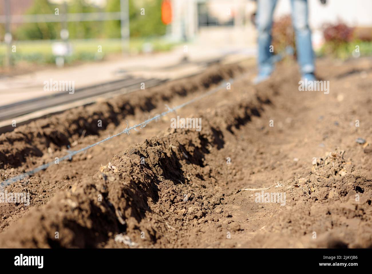 Ground Making Ground beds hi-res stock photography and images - Alamy