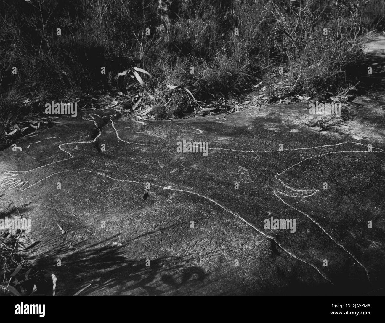 Aboriginal Black and White Stock Photos & Images - Alamy