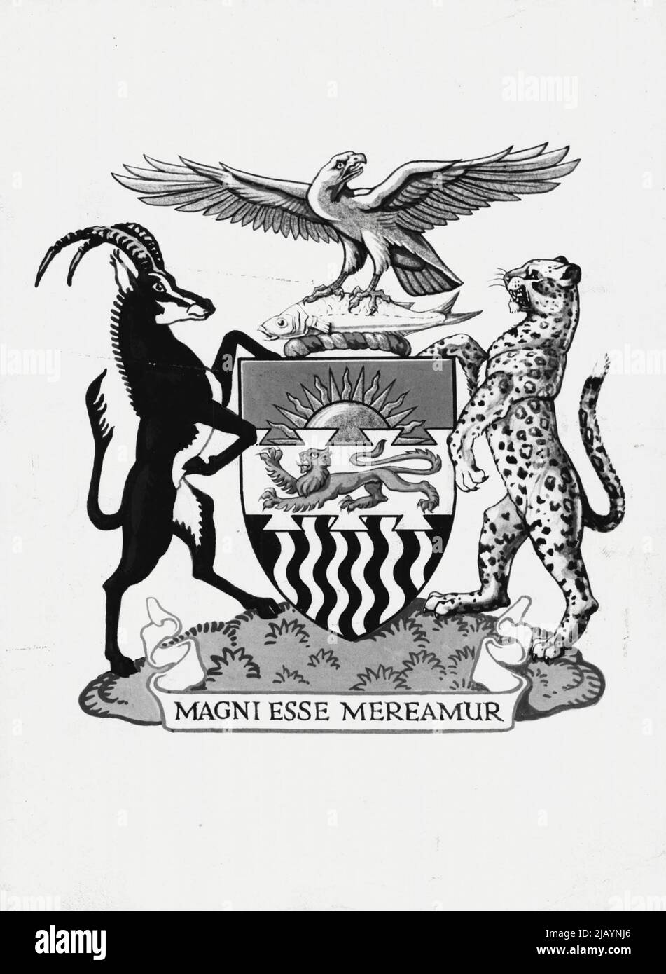 The Arms Of The Federation of Rhodesia & Nyasaland Description: For Arms: Per fesse Azure and Sable in chief a Sun rising Or and in base six Palets wavy Argent over all a Fesse devetailed counter-dovetailed of the last thereon a Lion passant Gules. And for the Crest: On a Wreath of the Colours, An Eagle regaudant wings extended Or perched upon and grasping in the talons a Fish Argent. And for the Supporters: On the dexter side a Sable Antelope and on the sinister side a Leopard both proper: together with this Motto: Magni Esse Mereamur. July 22, 1954. Stock Photo