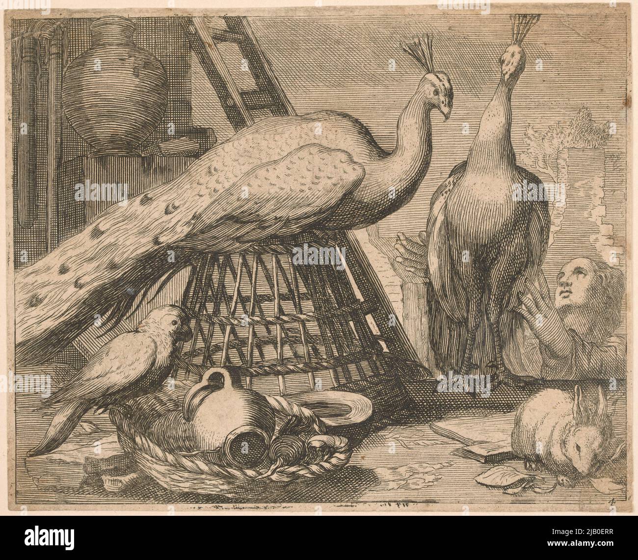 Animalistic rabbit hi-res stock photography and images - Alamy