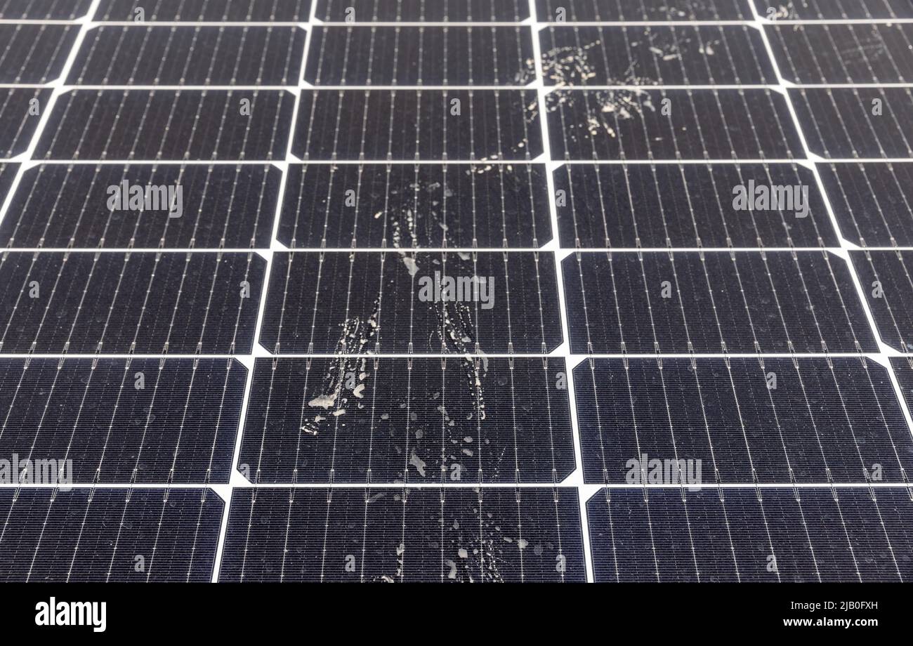 Bird footprint on Solar PV Panel Surface Stock Photo