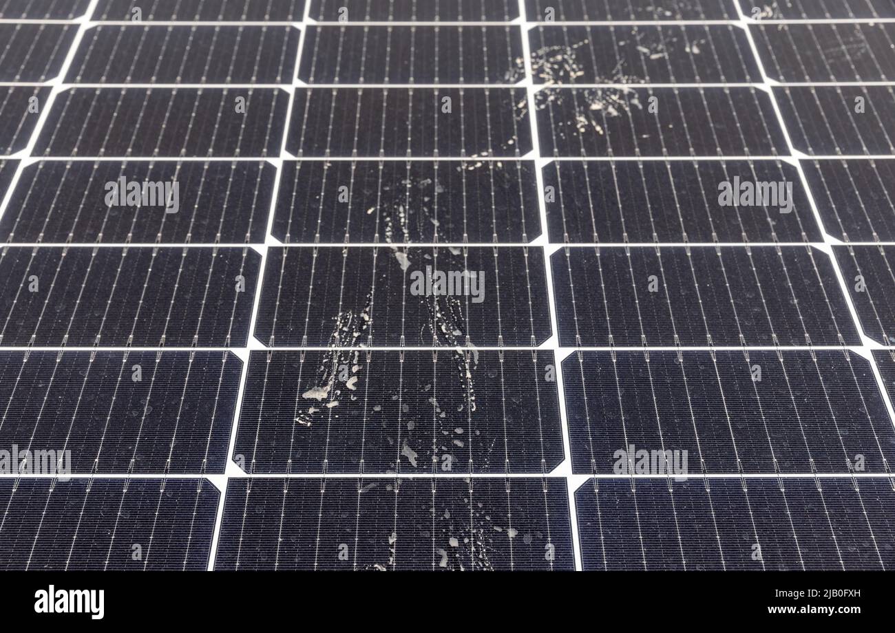 Bird Footprint On Solar PV Panel Surface Stock Photo Alamy