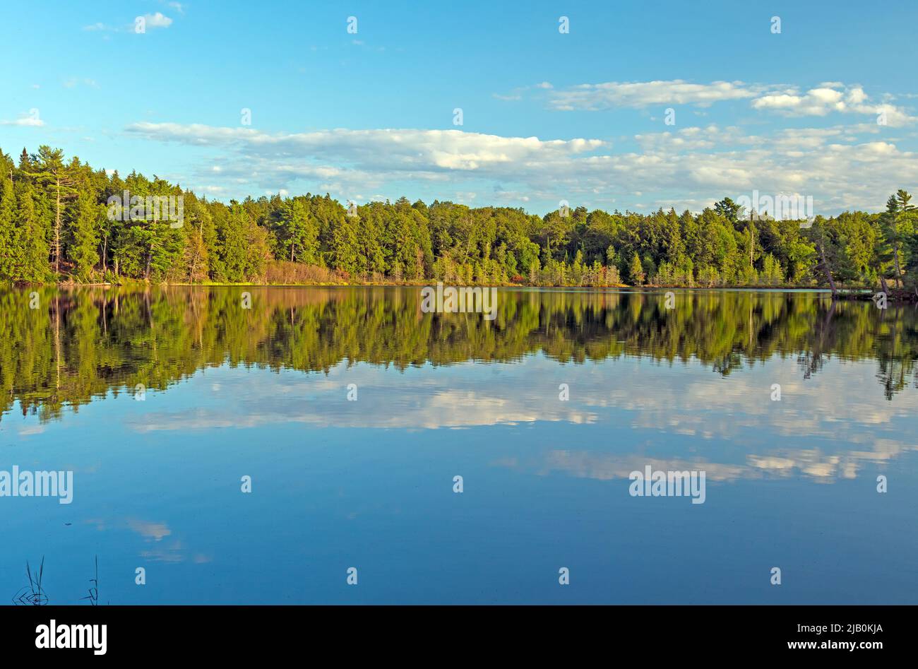 Mirrored Reflection in the Evening on Mountain Lake in the Sylvania Wilderness in Michigan Stock Photo