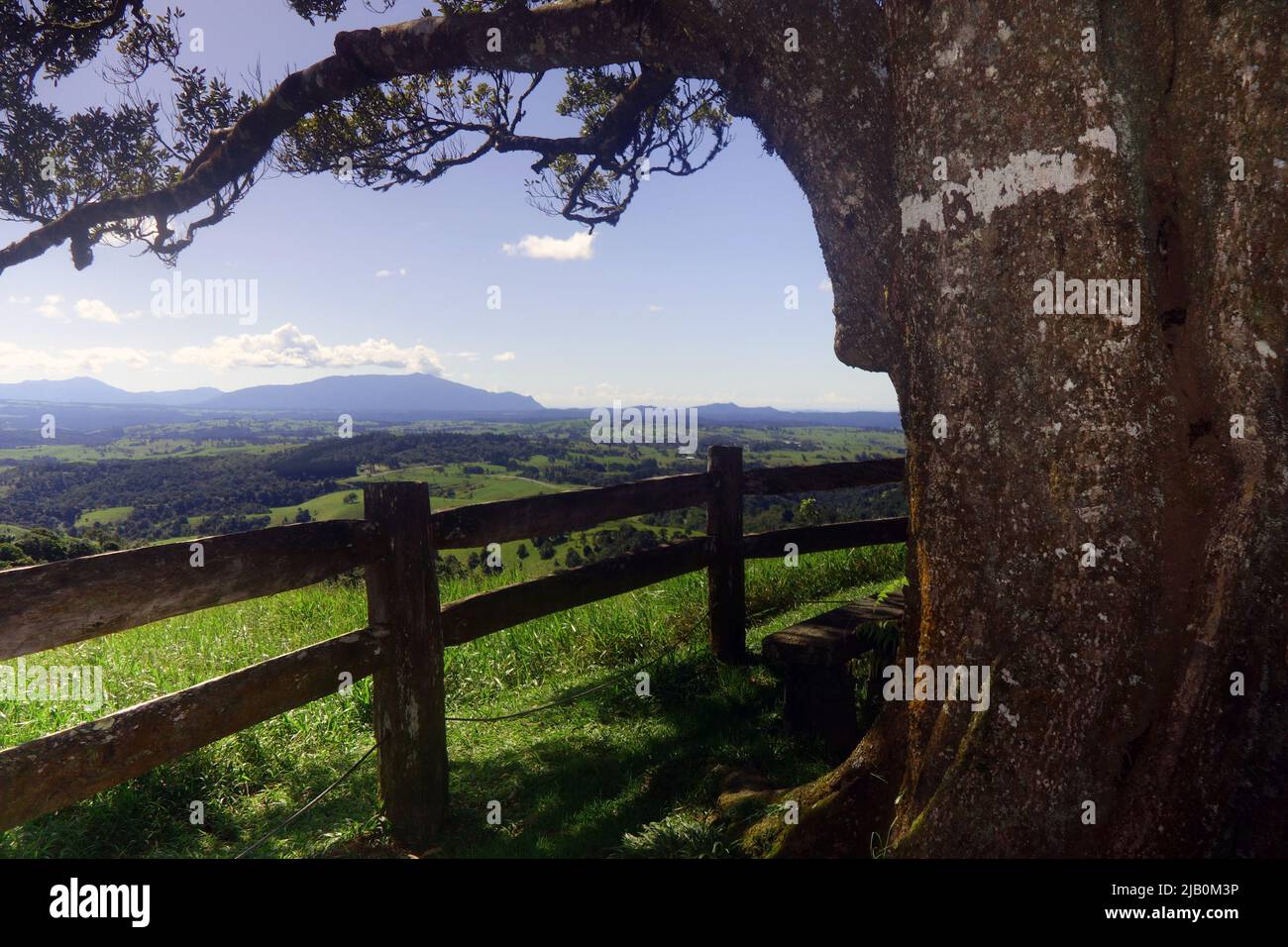 Milaa Millaa lookout, Atherton Tablelands, Queensland, Australia Stock Photo