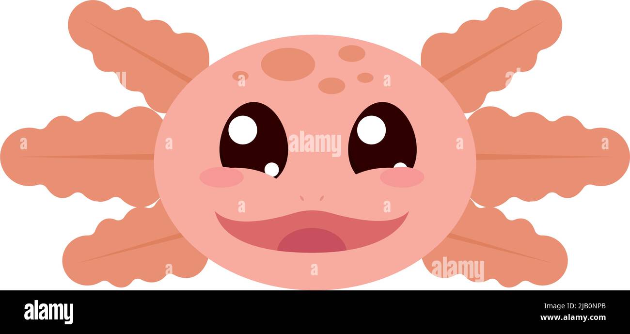 Cute Axolotl Face Stock Vector Image Art Alamy