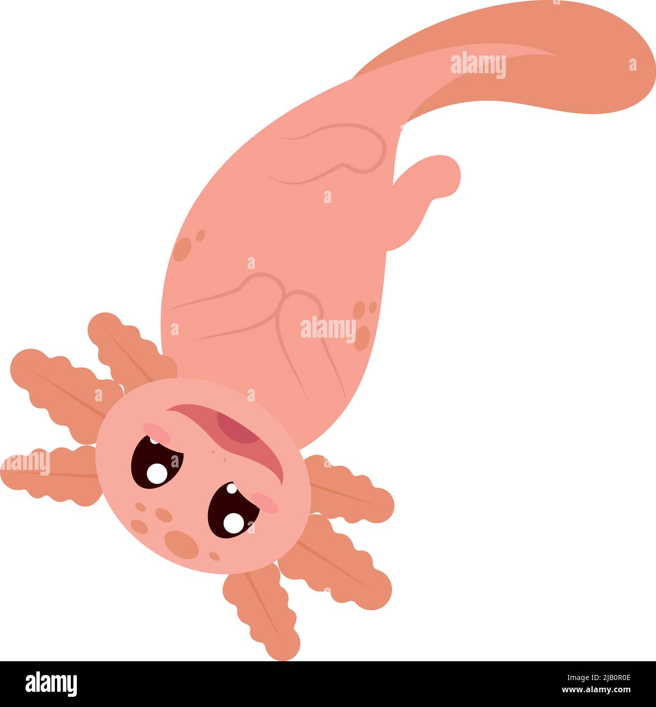 axolotl smiling icon Stock Vector Image & Art - Alamy