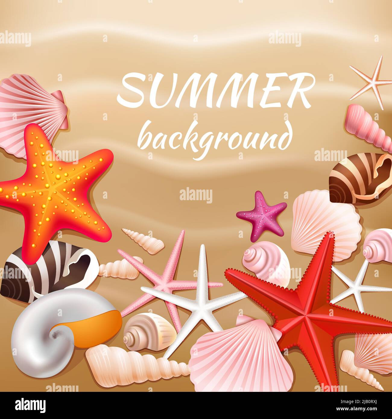 Seashells and stars on the beige sand summer background vector ...