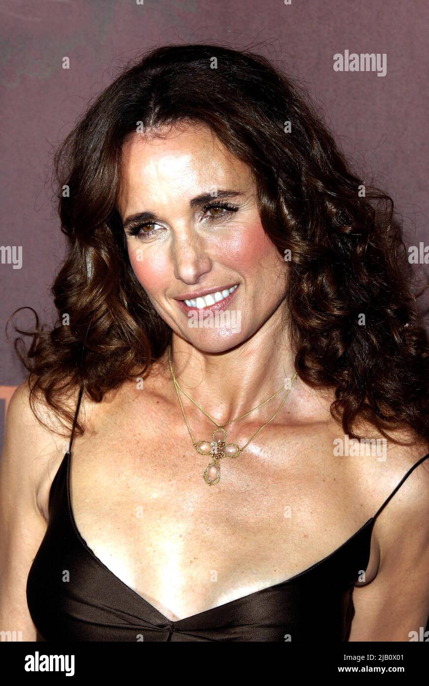 Andie MacDowell at the CMT Giants Honoring Reba McEntire at Kodak Theaterin 2006 Credit: Ron Wolfson  / MediaPunch Stock Photo