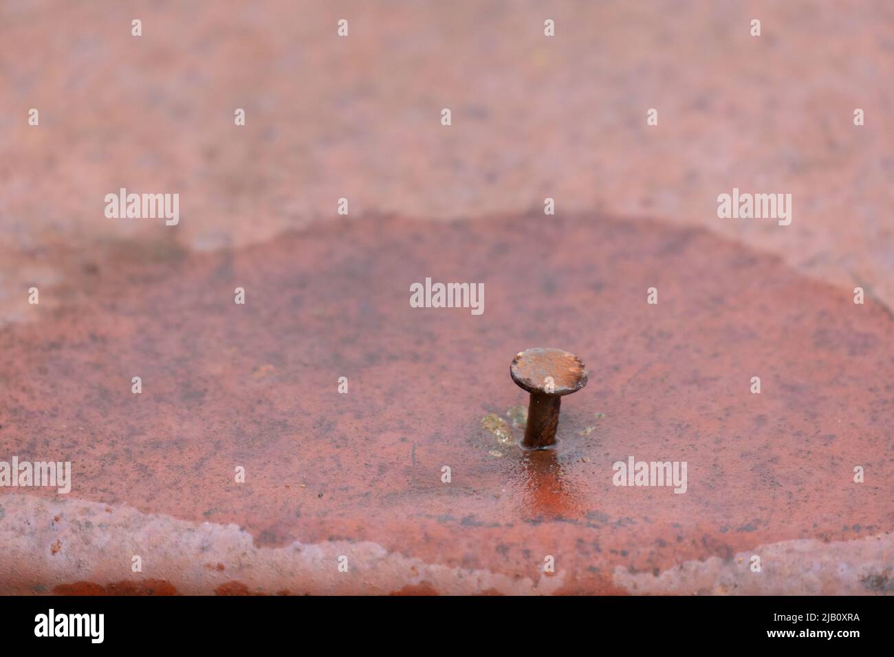 Rusty nail head with rust covered table top Stock Photo