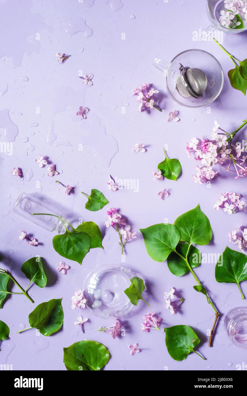 Teatime lilac flat lay, pastel colors, spring theme Stock Photo