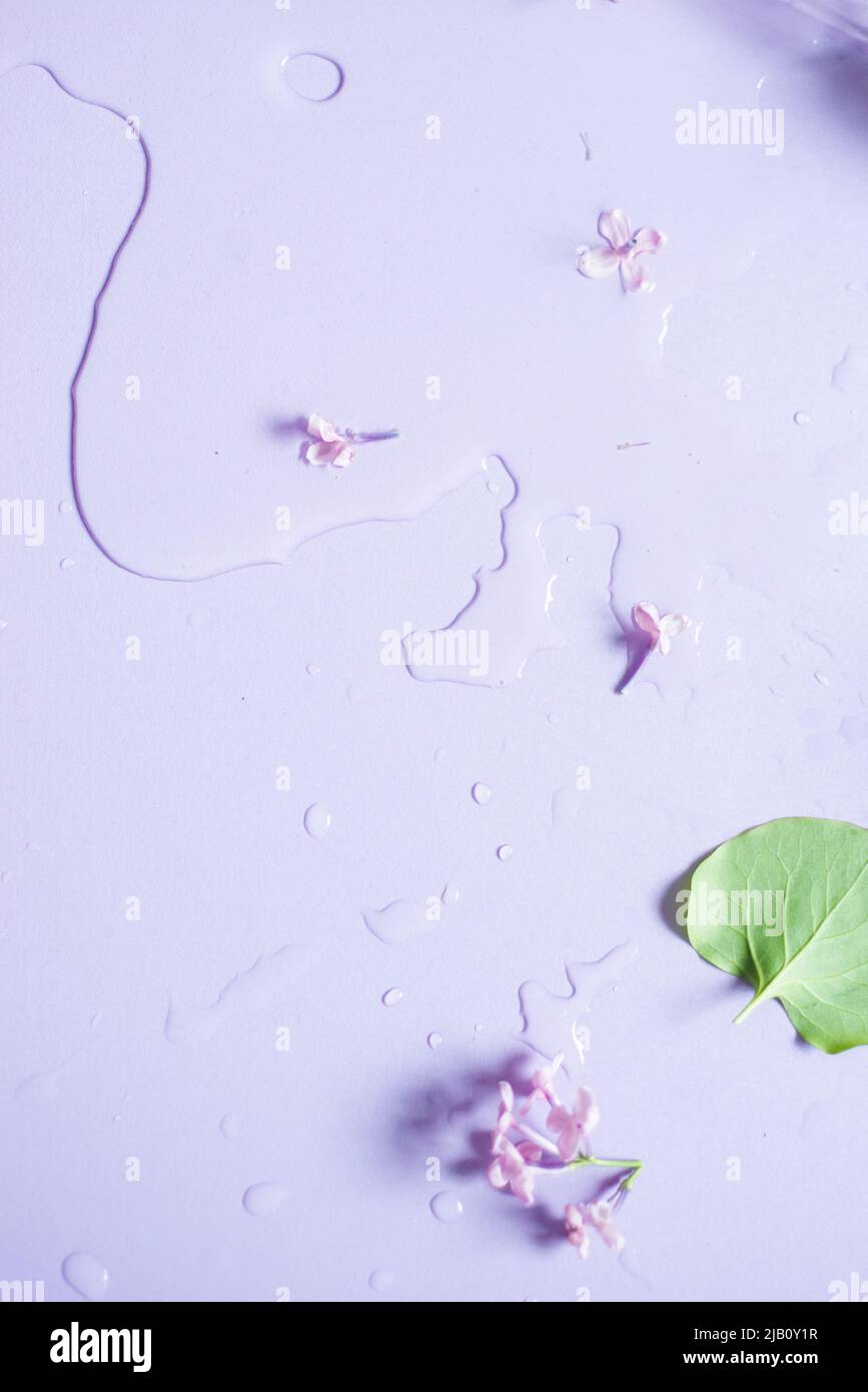 Lilac flat lay, pastel colors, spilled water, florist workplace Stock Photo