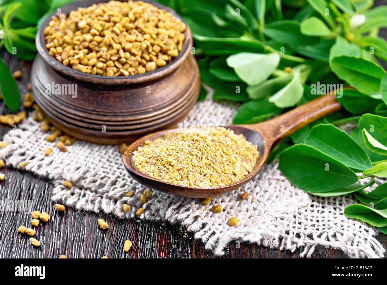 Ground fenugreek in a spoon and seeds in a bowl on a burlap napkin with green leaves against dark wooden board Stock Photo