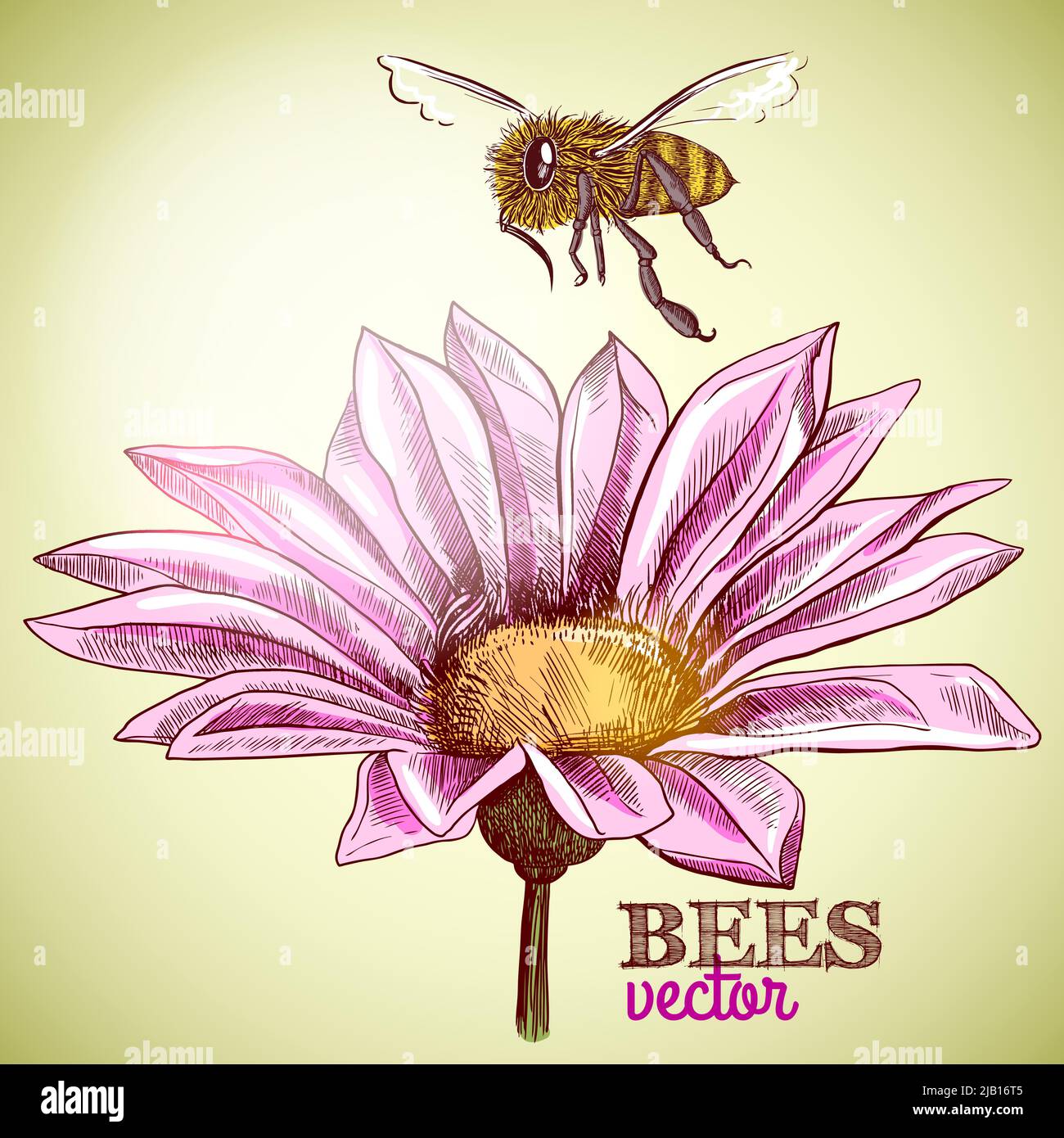 Flying honey bee and blossoming flower background vector illustration ...