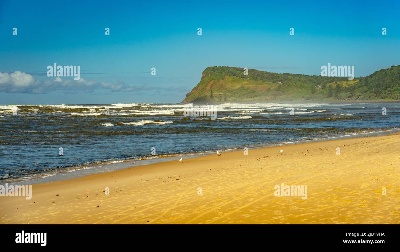 Lennox Head beach in Ballina, NSW, Australia Stock Photo Alamy