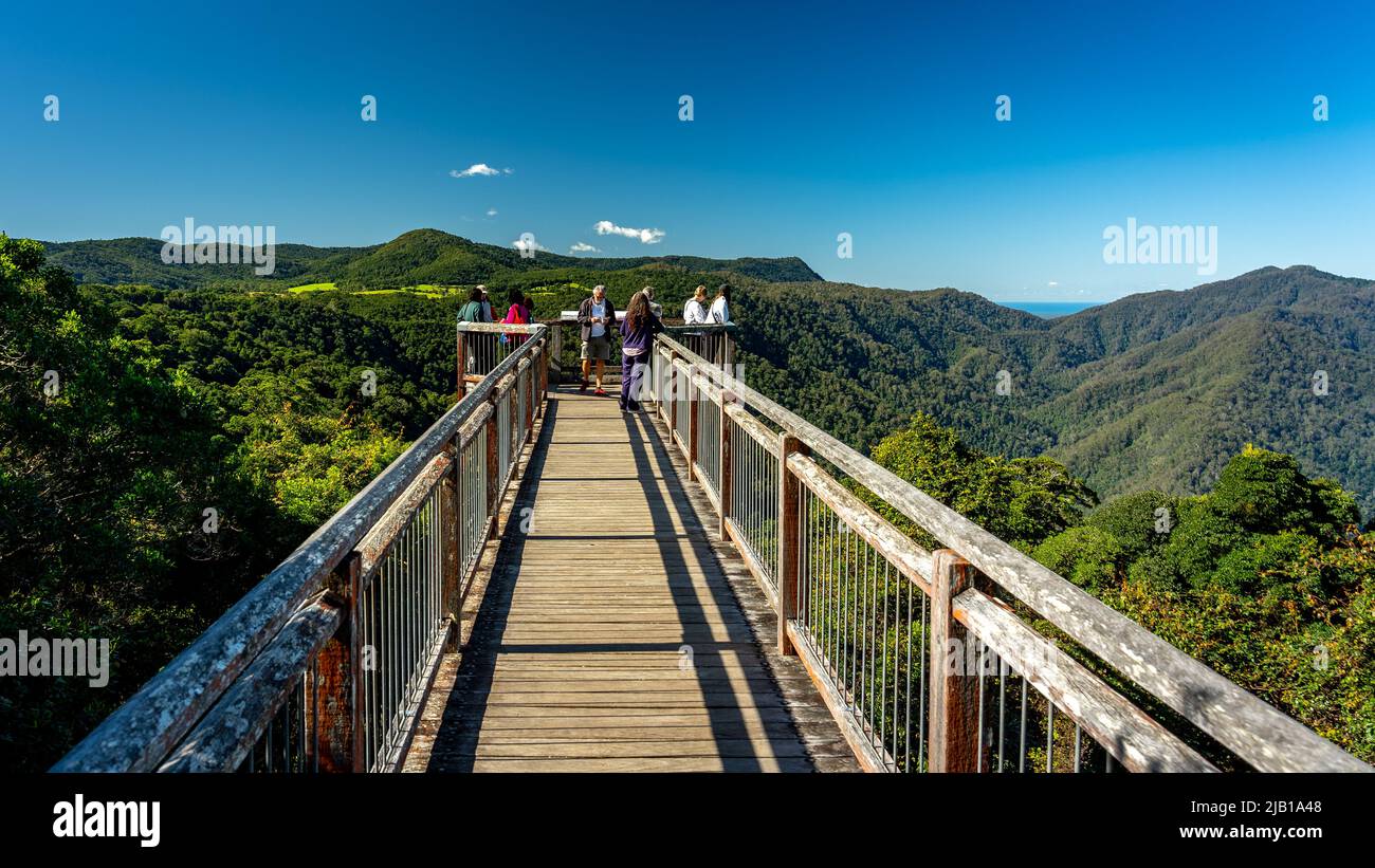 Dorrigo Mountain, New South Wales, Australia - Skywalk at the Dorrigo National Park Stock Photo