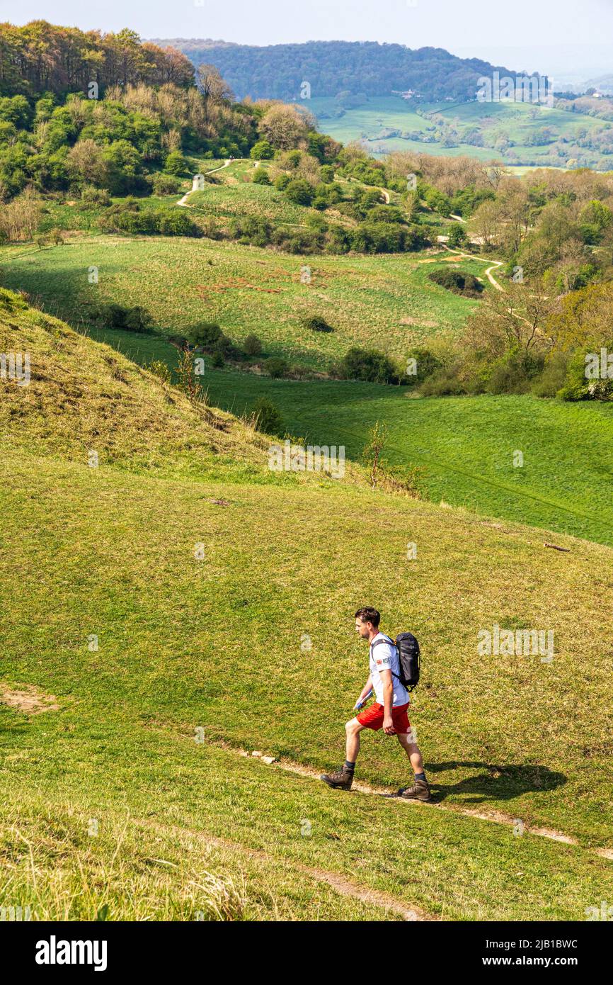 A hiker walking the Cotswold Way National Trail long distance footpath on the scarp slope at Barrow Wake, Gloucestershire, England UK Stock Photo