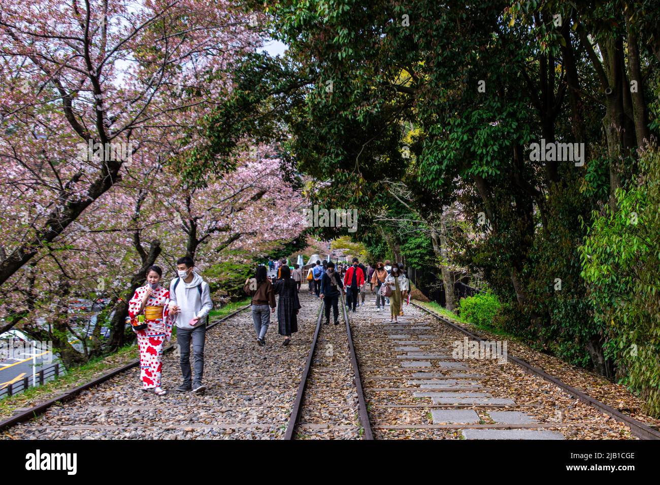 Keage Incline with Sakura (Somei Yoshino) trees. It is a 582 meter long slope with railroad tracks that known as popular cherry blossom viewing spot Stock Photo
