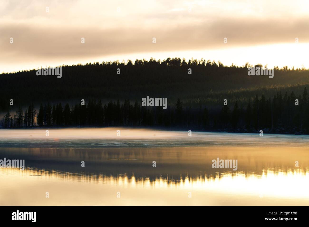 Water-surface, Ground-level Fog Over The Lake, Ice And Coniferous 