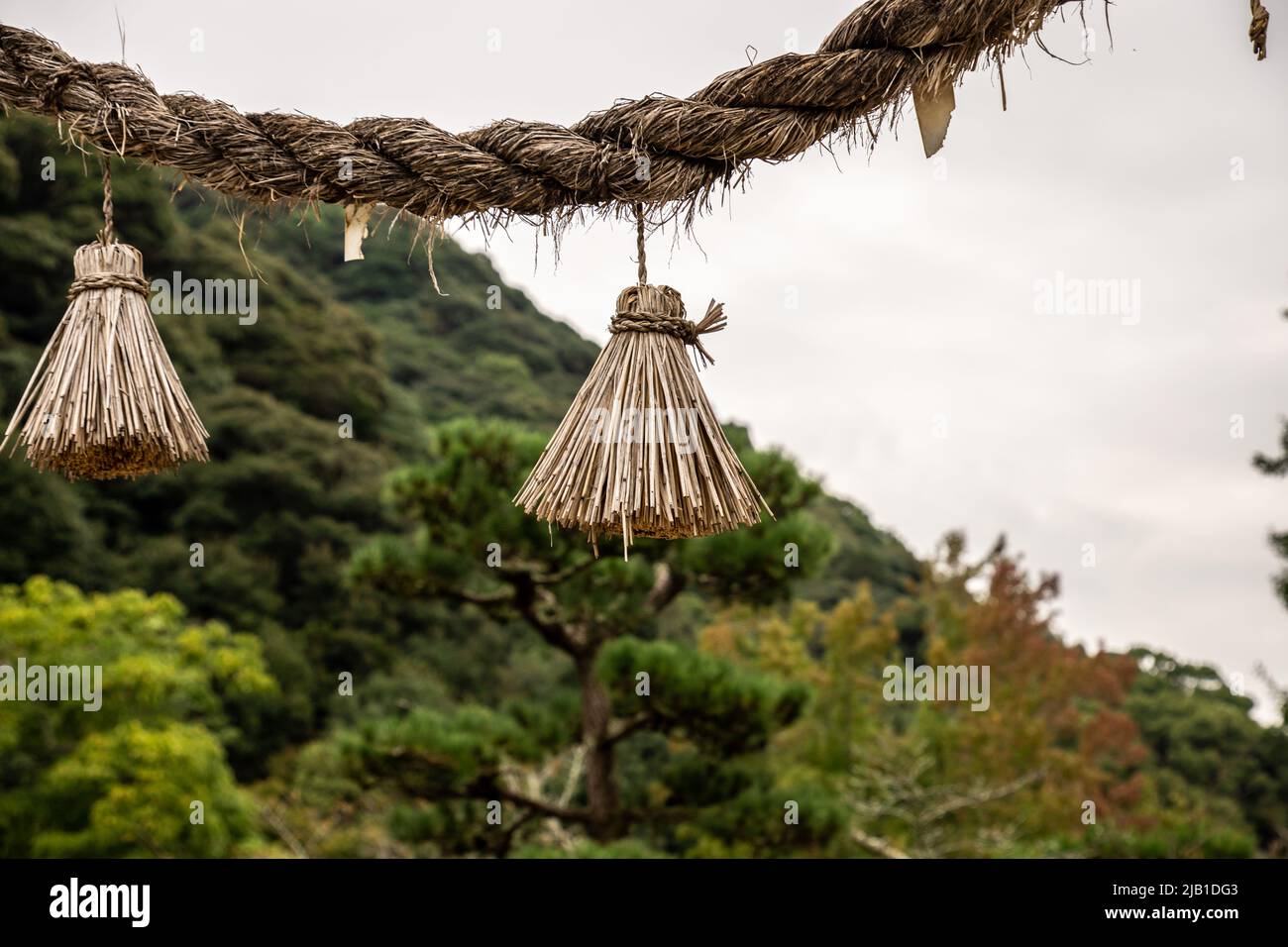 Japanese Shimenawa with Onusa  hanged traditional torii gate in shrine. Onusa (Nusa) is a wooden wand used in Shinto rituals. Zen concept Stock Photo