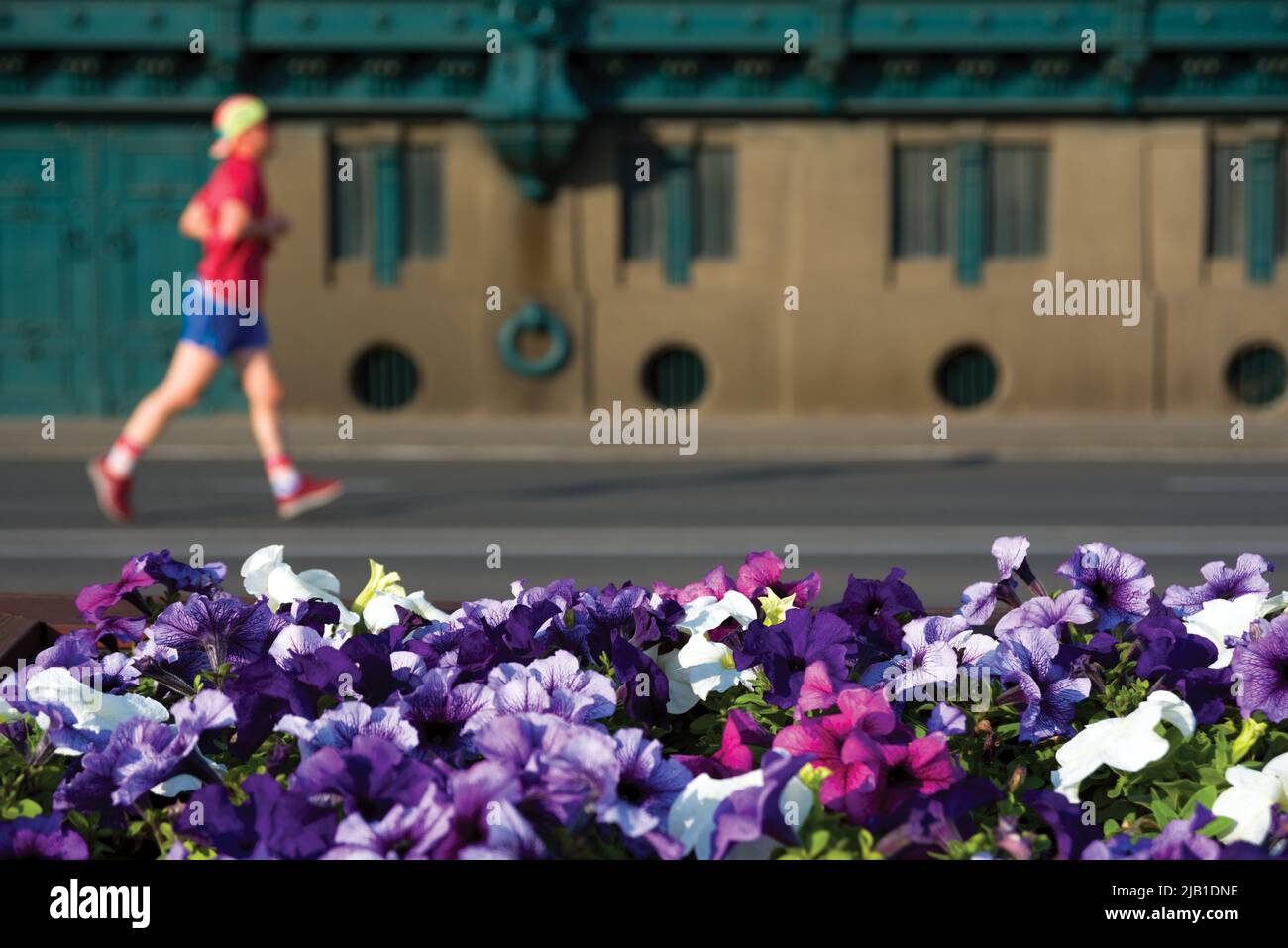 Unfocused person running along flower bed in the city Stock Photo