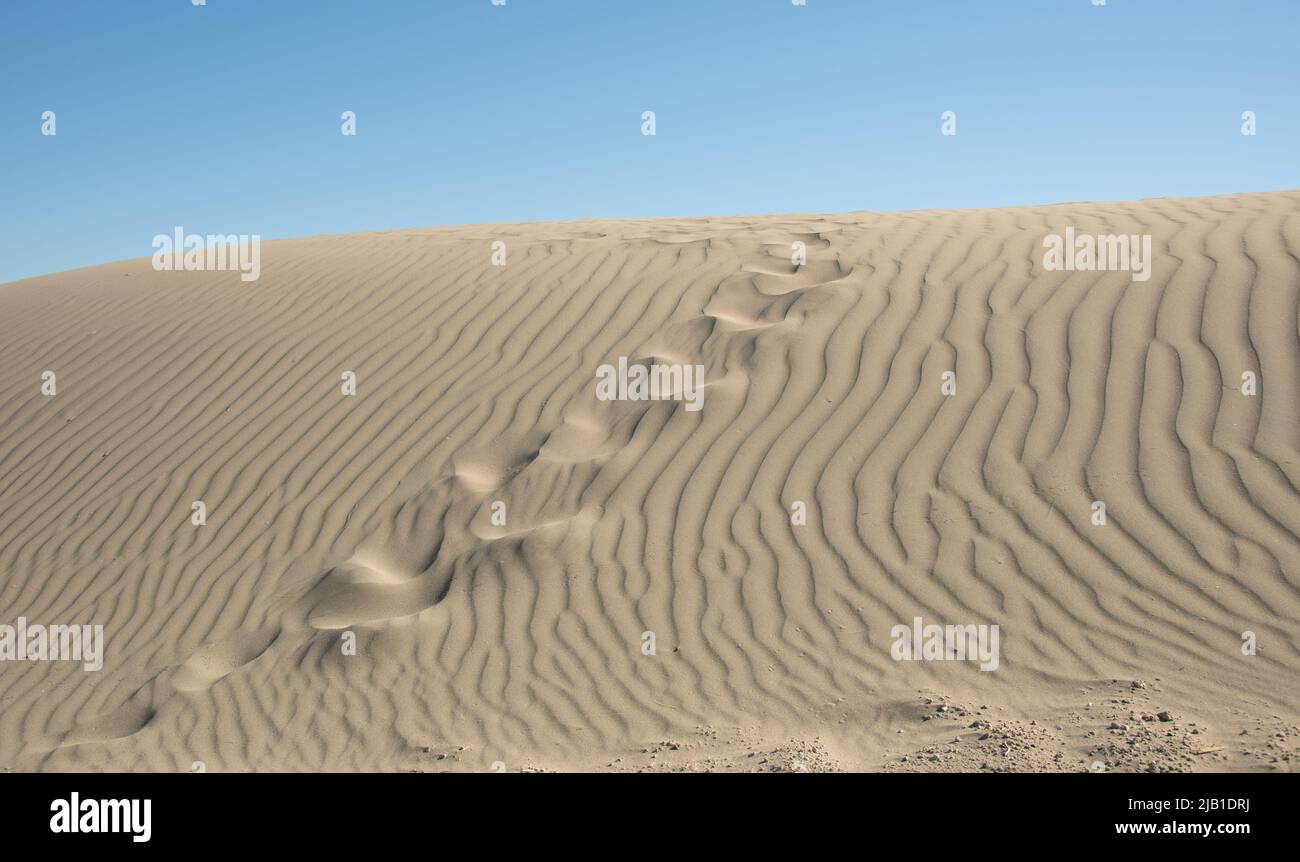 Sand dunes againt blue sky. Desert dry coast land Cyprus Stock Photo
