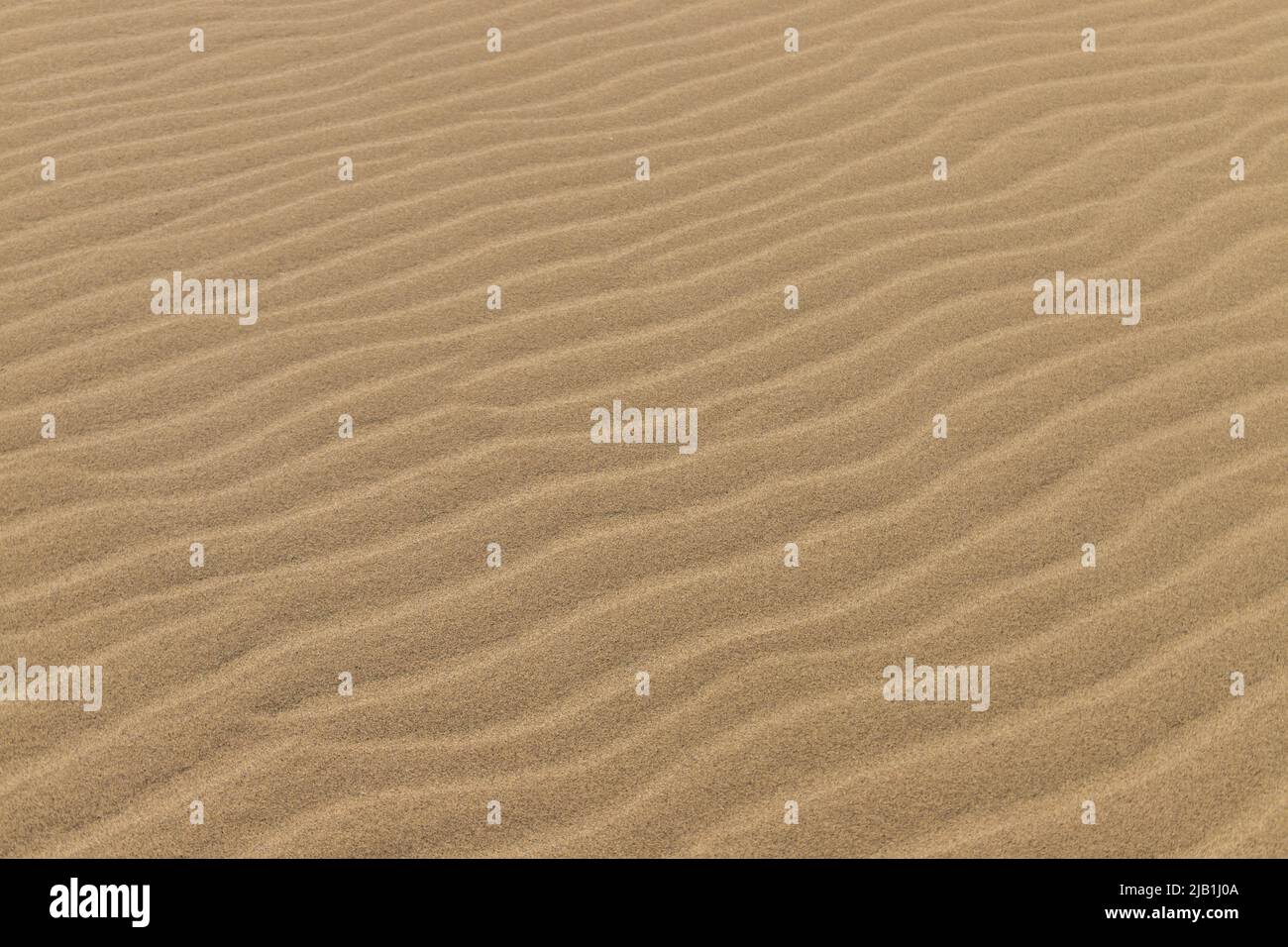 Ripple marks on droughty Sand Dunes in Desert Area. In geology, ripple marks are sedimentary structures and indicate agitation by water or, wind Stock Photo