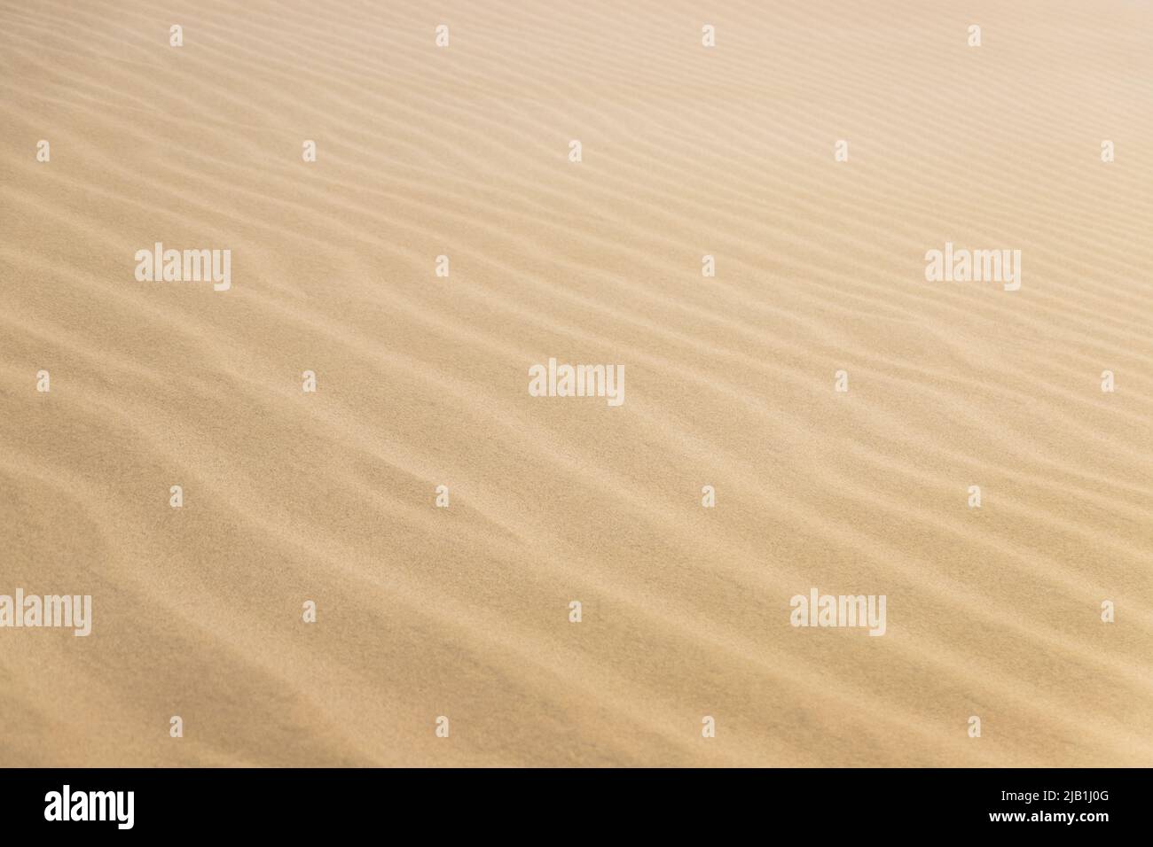 Ripple marks on droughty Sand Dunes in Desert Area. In geology, ripple marks are sedimentary structures and indicate agitation by water or, wind Stock Photo