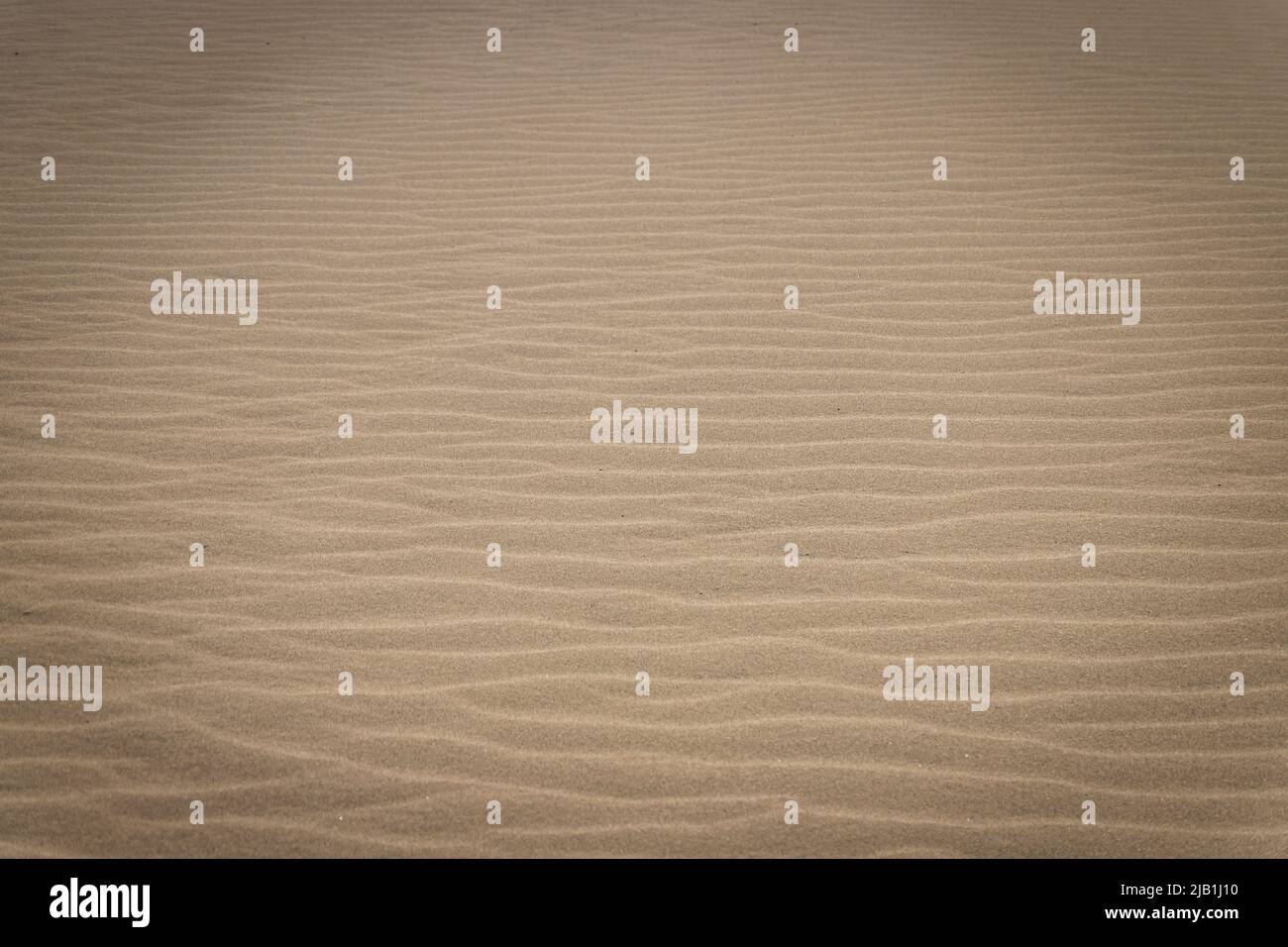 Droughty Sand Dunes with Ripple marks. In geology, ripple marks are ...