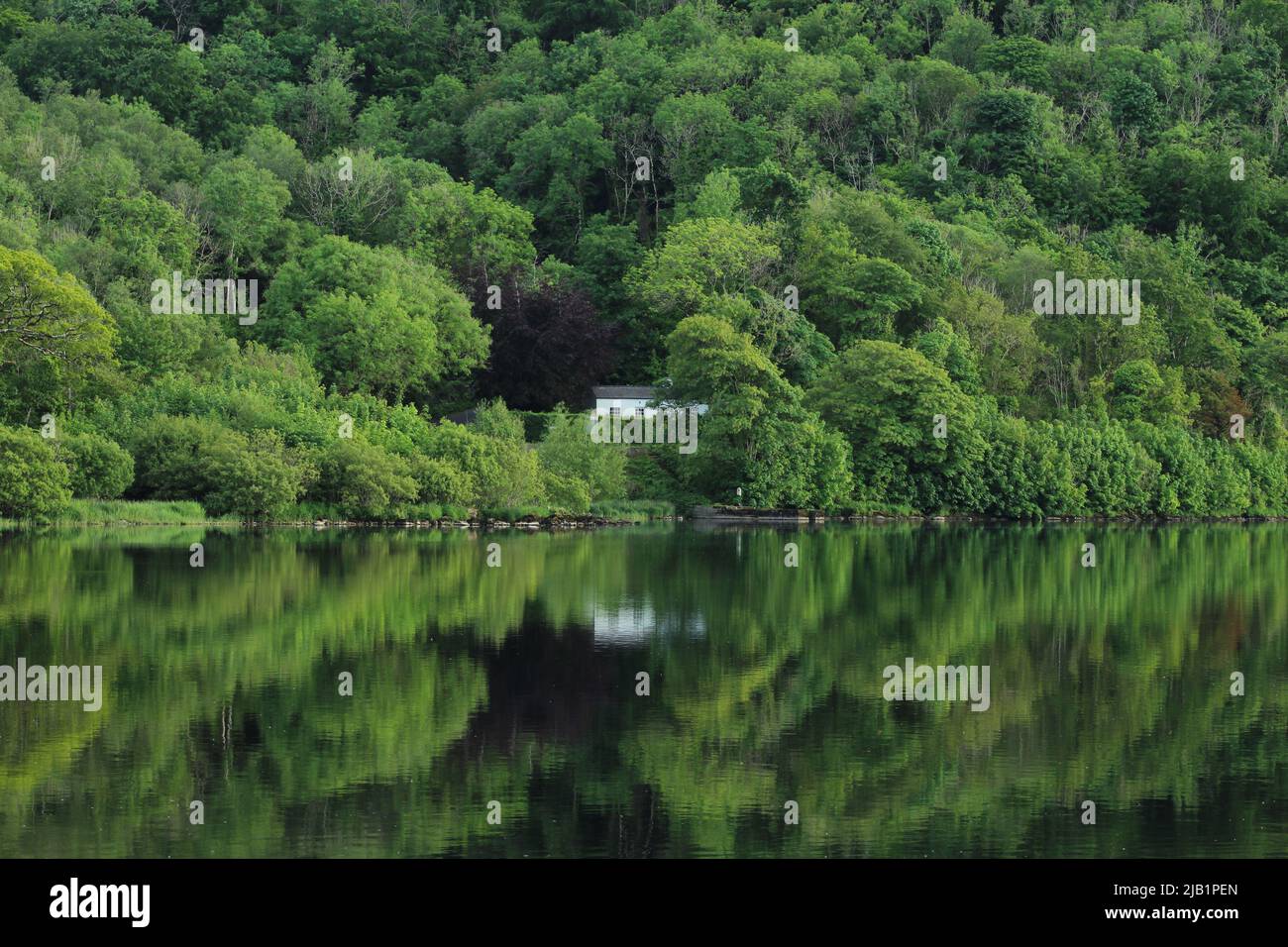 Cottage house nestled amongst greenery of trees in forest reflected in still waters of Lough Gill, situated in rural County Leitrim, Ireland Stock Photo