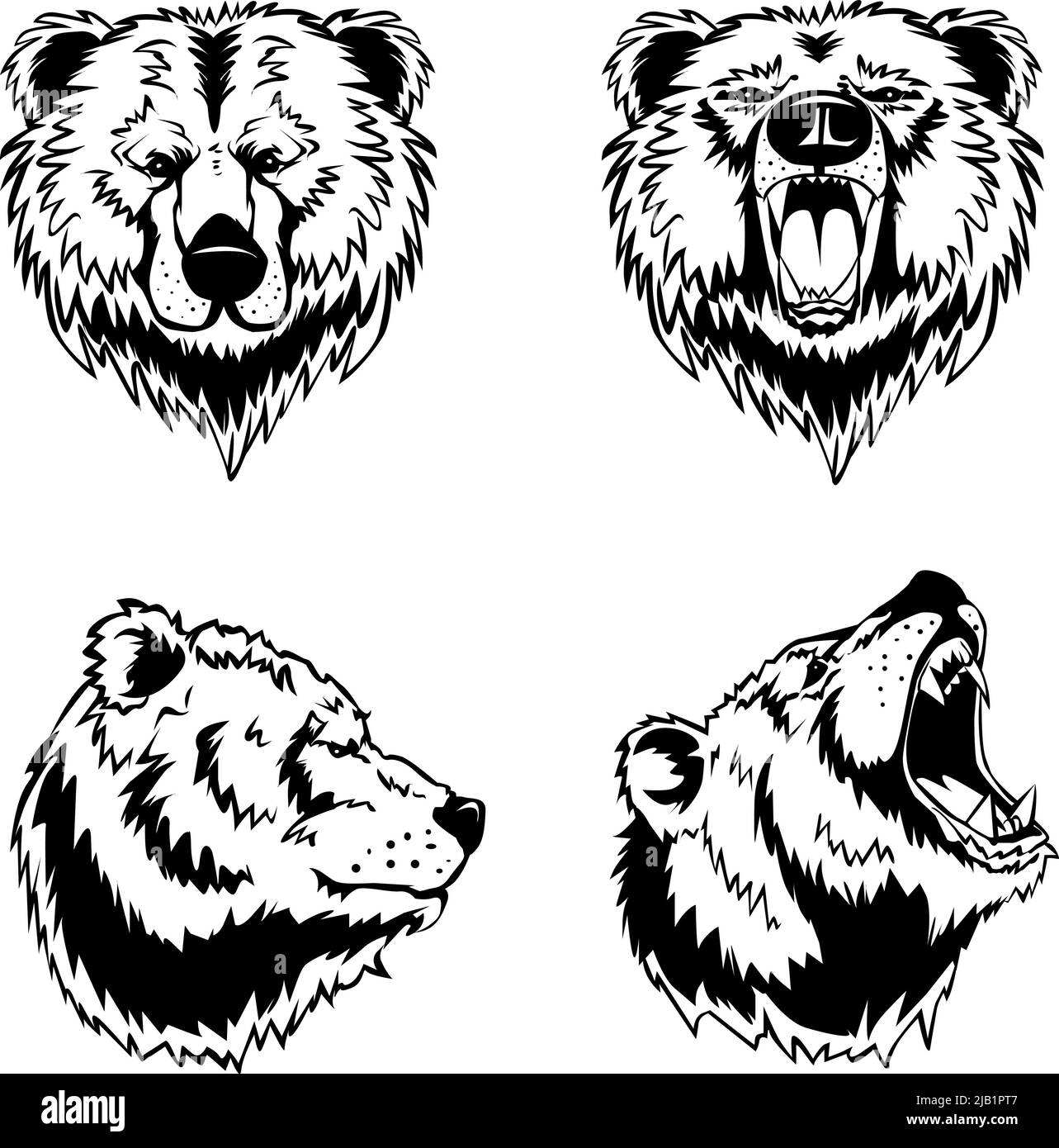 Hand drawn ink engravings set of four bear head in different angles and moods isolated on white background vector illustration Stock Vector