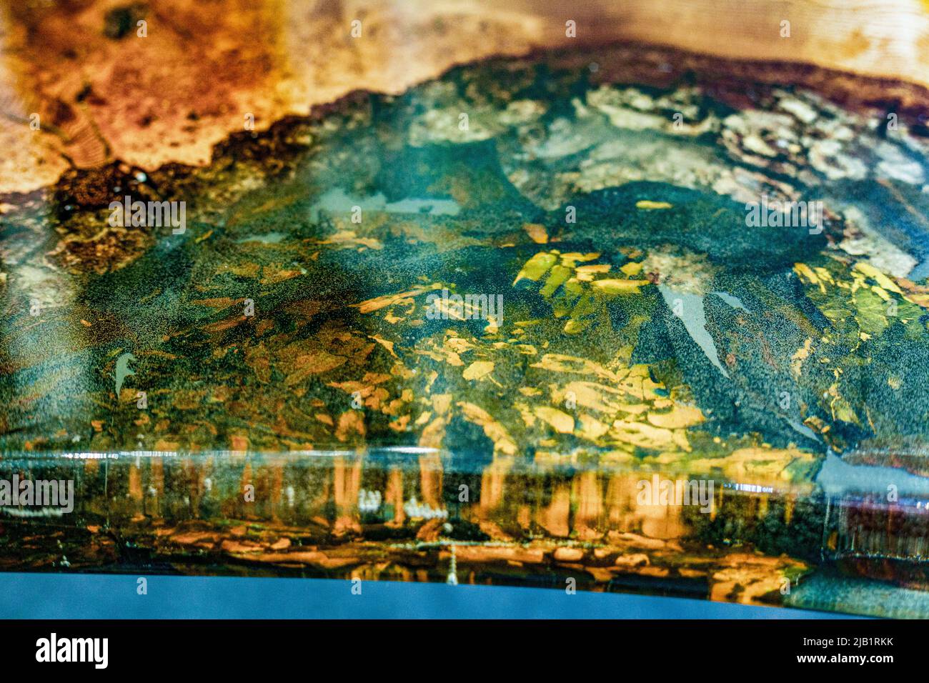 Epoxy resin table with transparent inserts and wooden base. Stock Photo