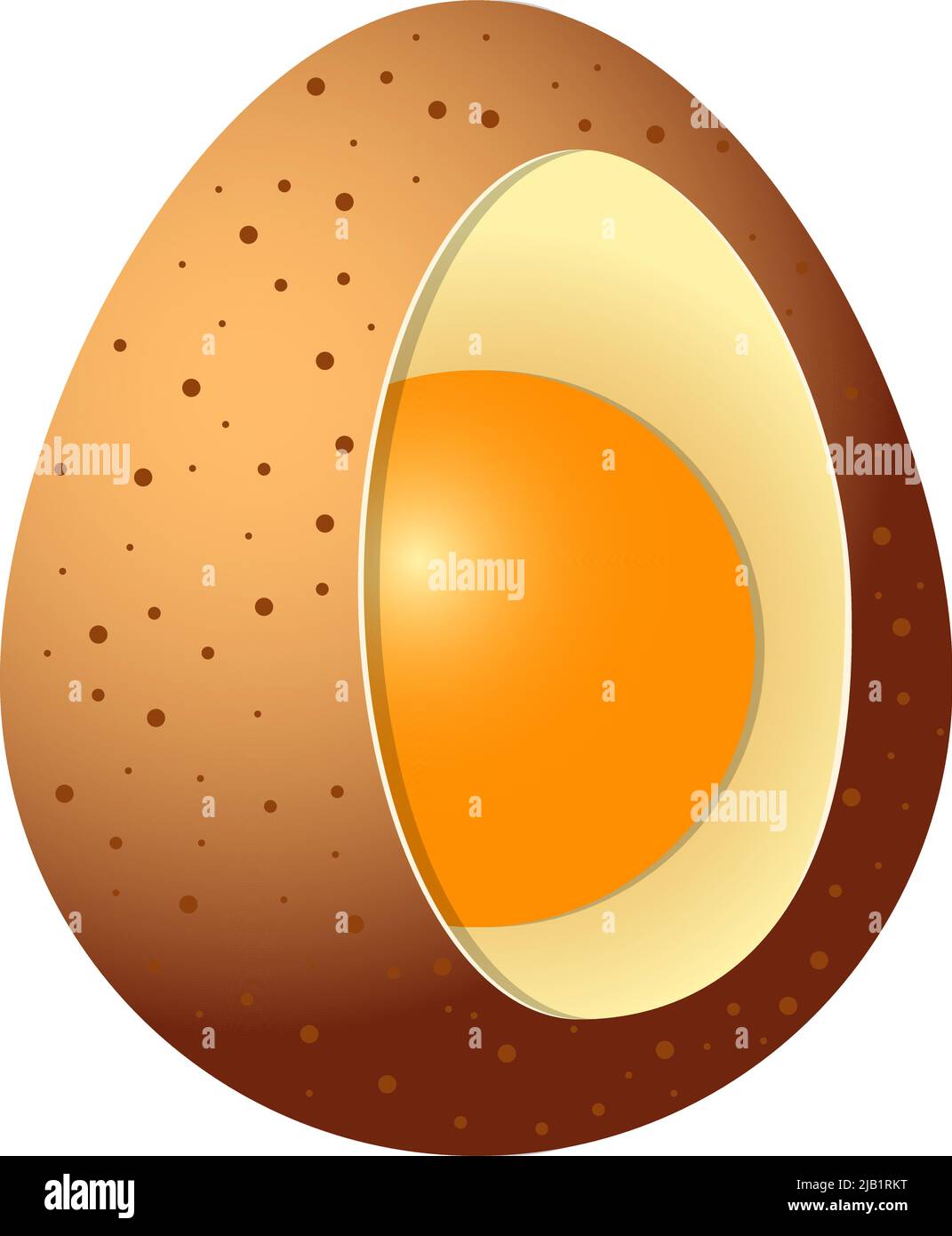 Chicken egg is brown with spots. Open interior. What is a birds egg