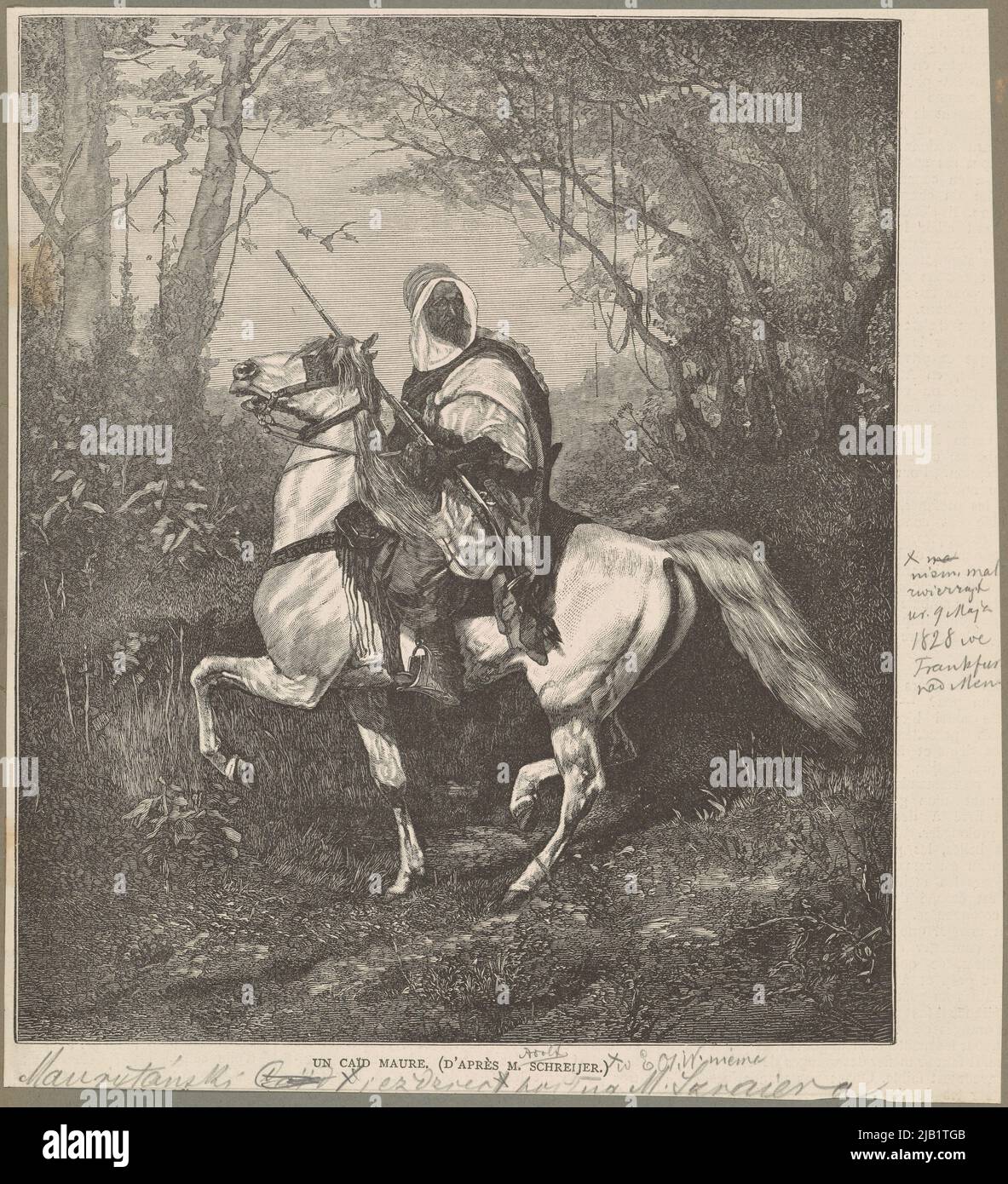Moorish rider according to the image of Adolf Schreyer. French magazine unknown, Schreyer, Adolf (1828 1899) Stock Photo