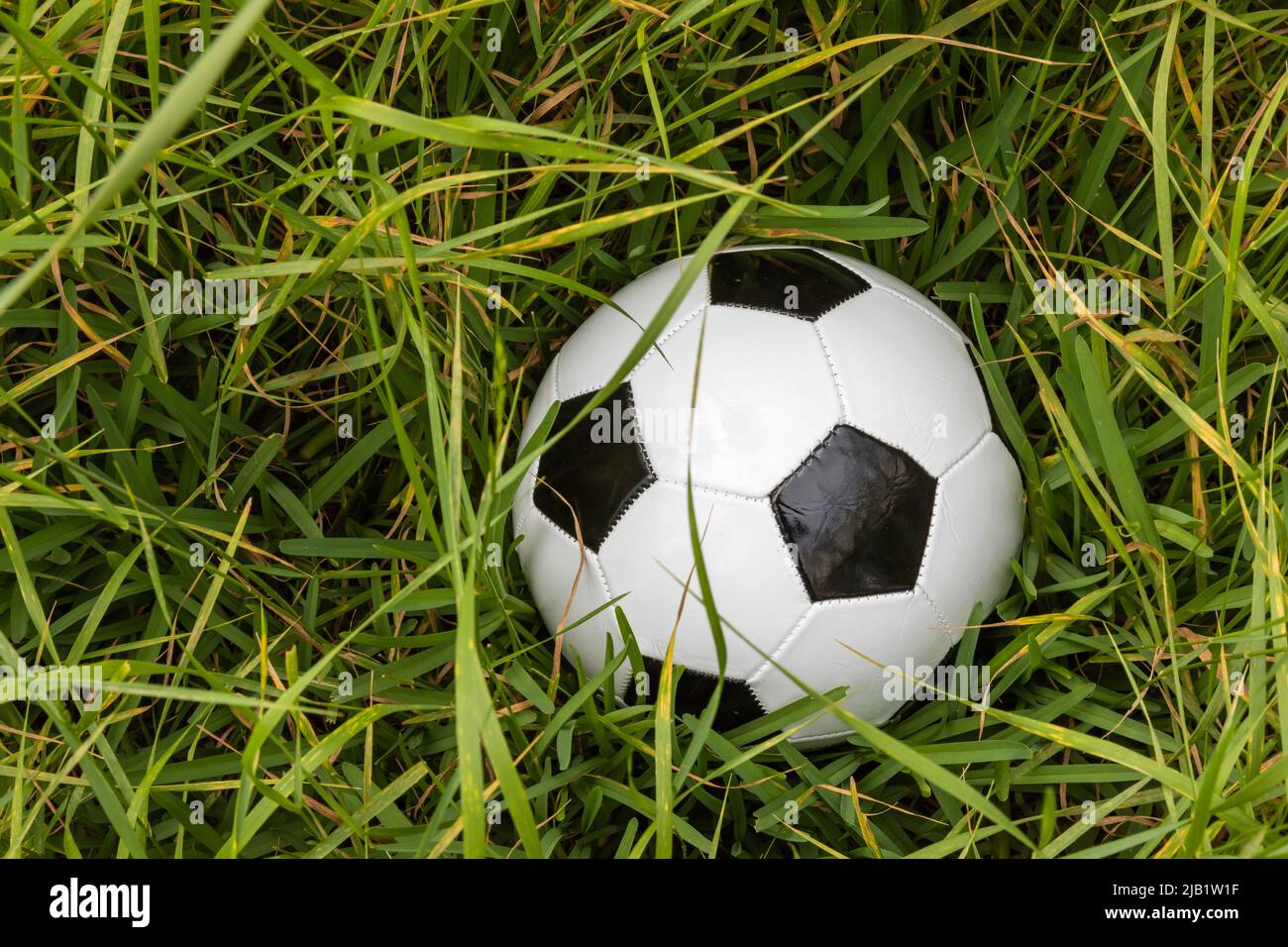 Soccer Ball lost in high grass Stock Photo