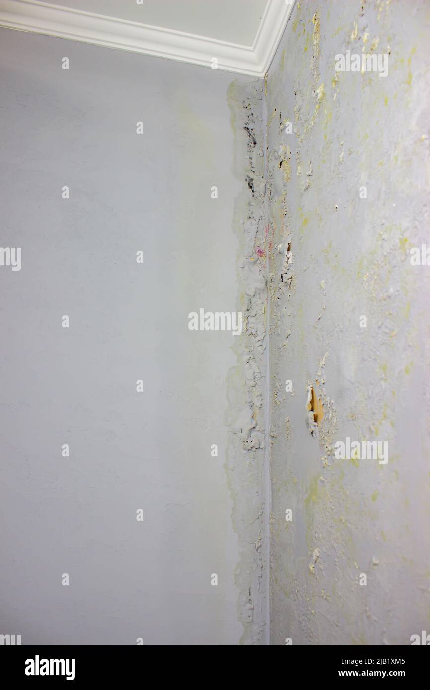 black mold on the wall. Fungus on the wall after the flooding of the