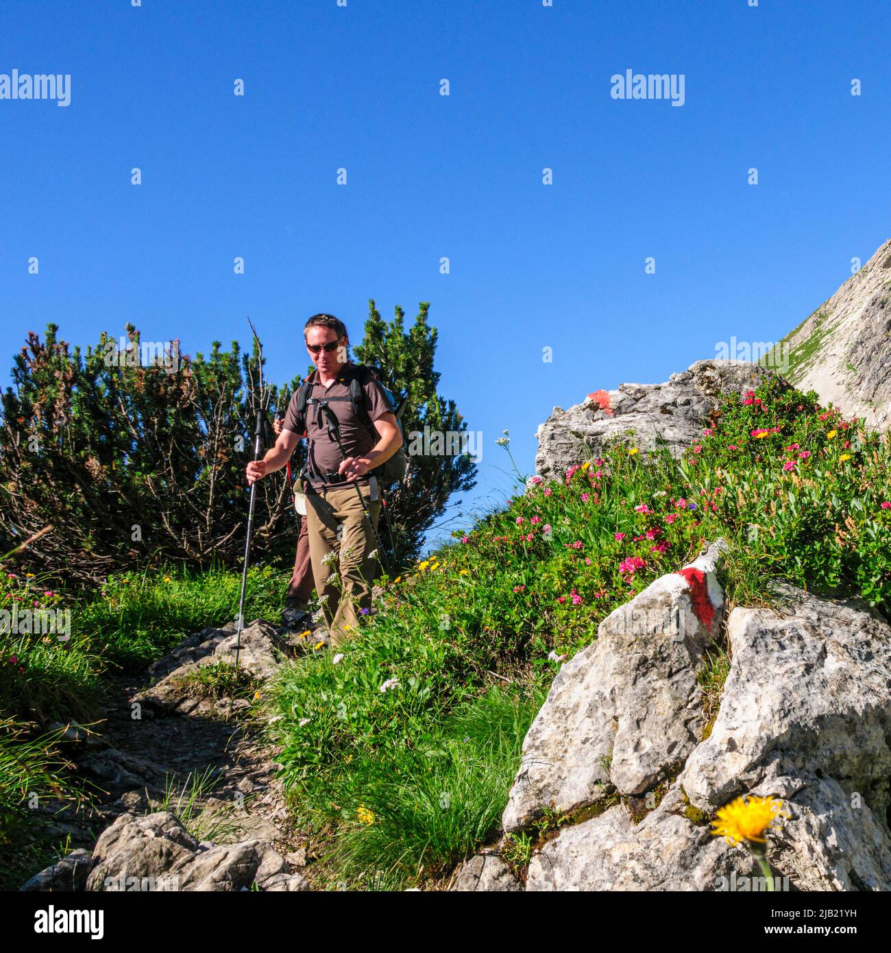 Couple hiking in high alpine nature in summertime Stock Photo