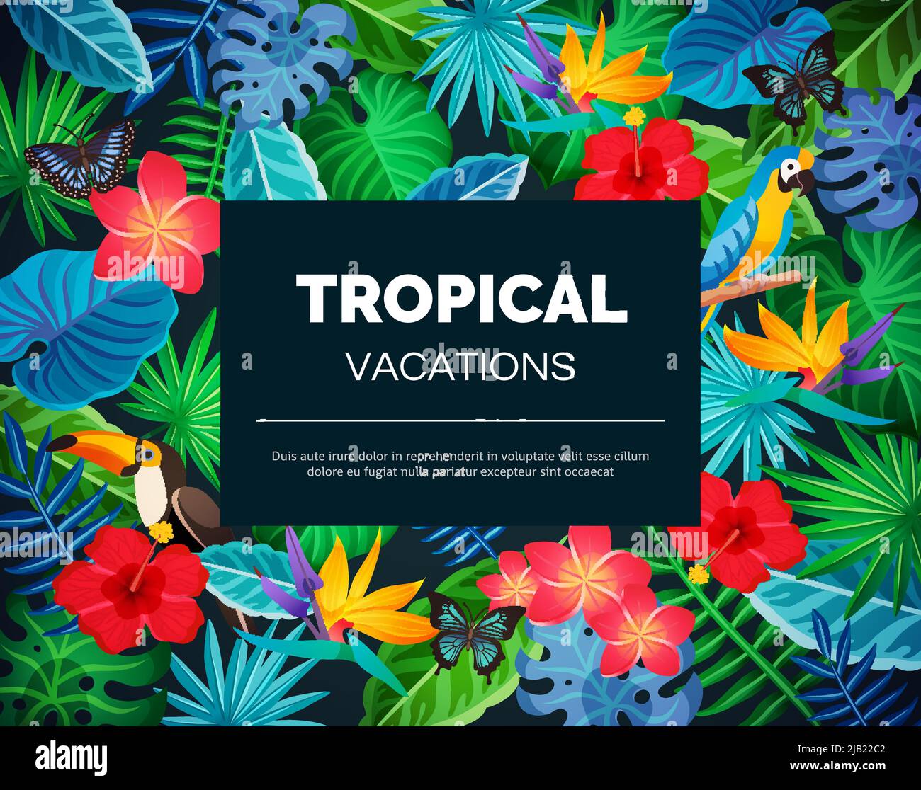 Tropical vacations background with colorful exotic blooming flowers butterflies toucans and black banner in middle flat vector illustration Stock Vector