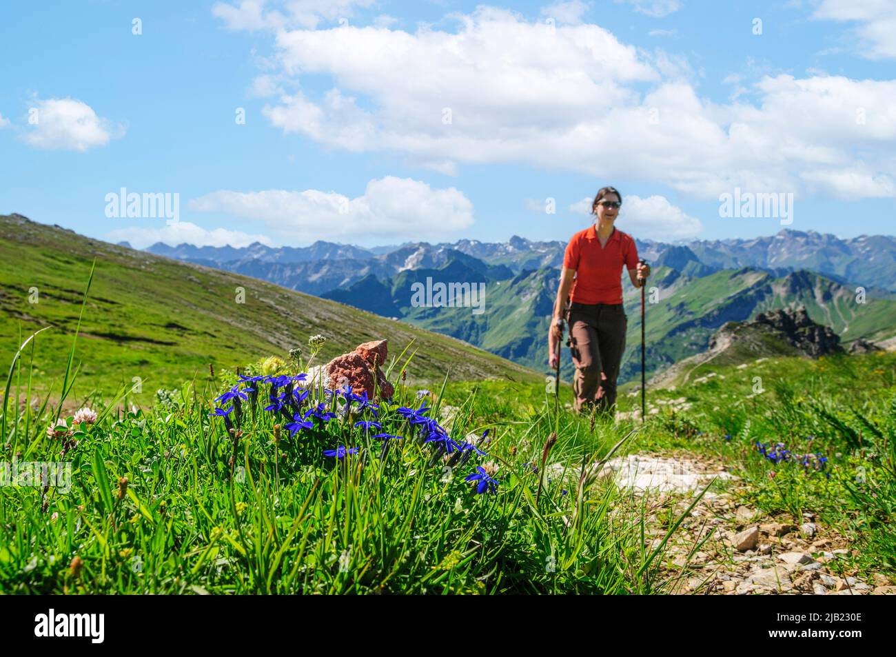 Couple hiking in high alpine nature in summertime Stock Photo