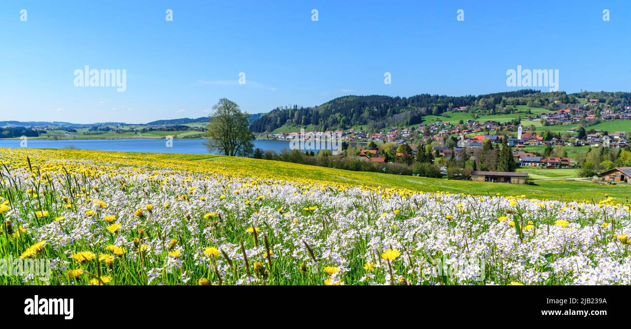 Beautiful springtime in the bavarian Allgäu near Hopfensee Stock Photo