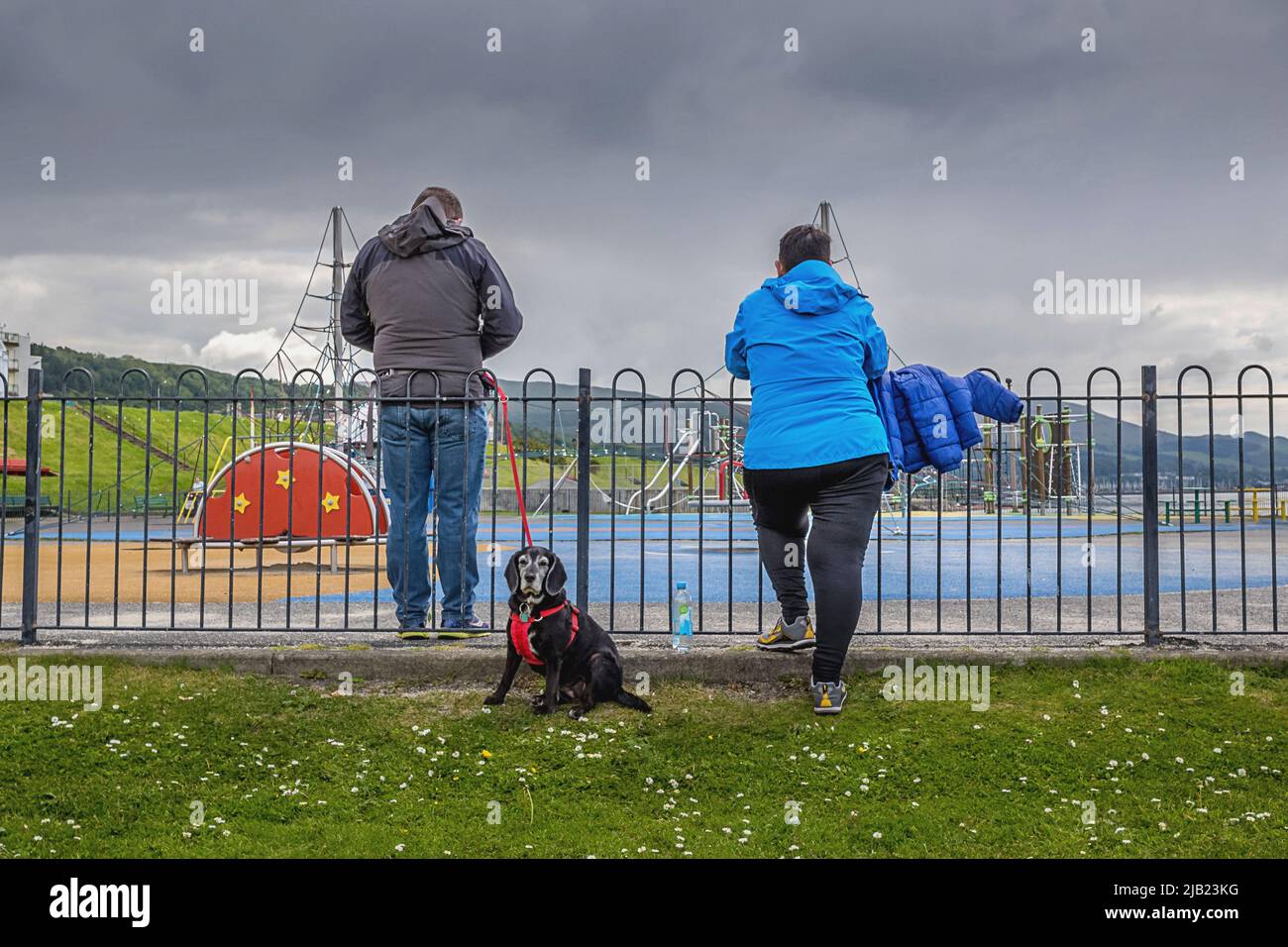 Waiting for the off. Dog waiting the humans to move so that he can continue it's walk Stock Photo