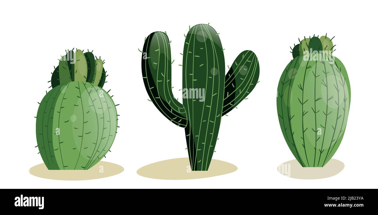 Tall succulent cactus with thorns and stone isolated elements. Vector drawing set illustration for icon, game, packaging, banner. Wild west, western Stock Vector