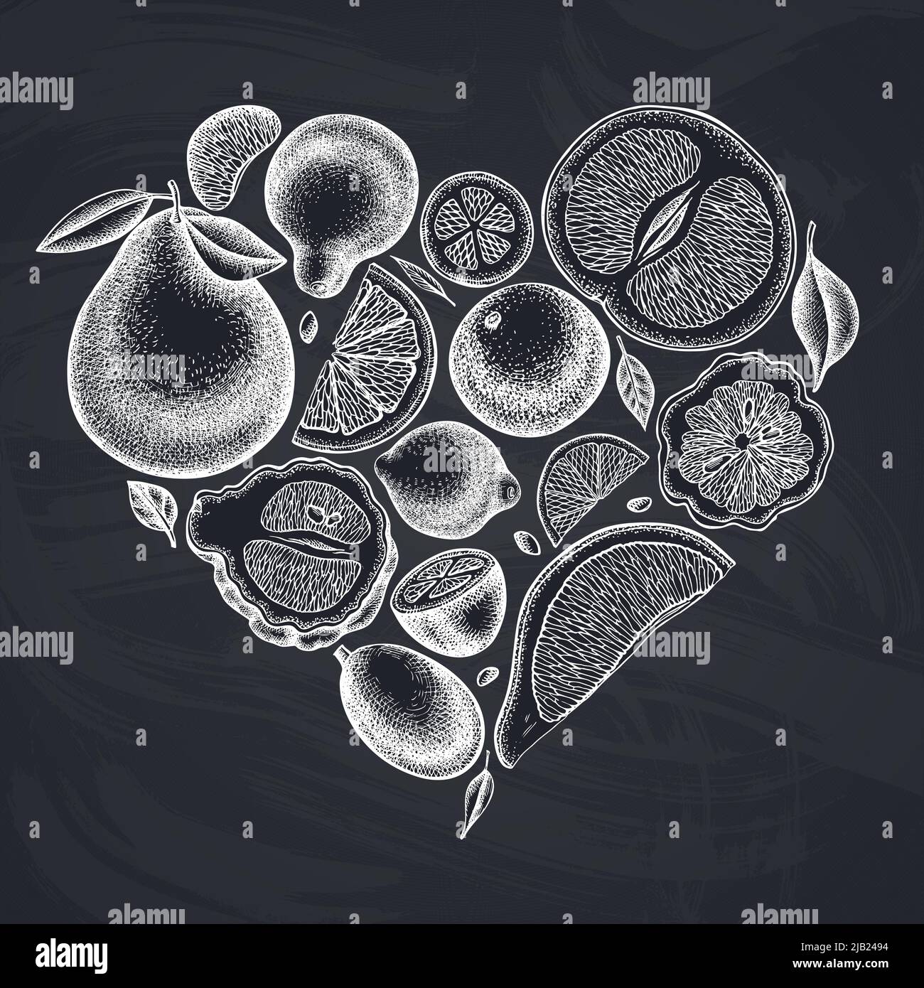 Citrus heart vintage design. Hand drawn kumquat, lemon, tangelo, etc Stock  Vector Image & Art - Alamy