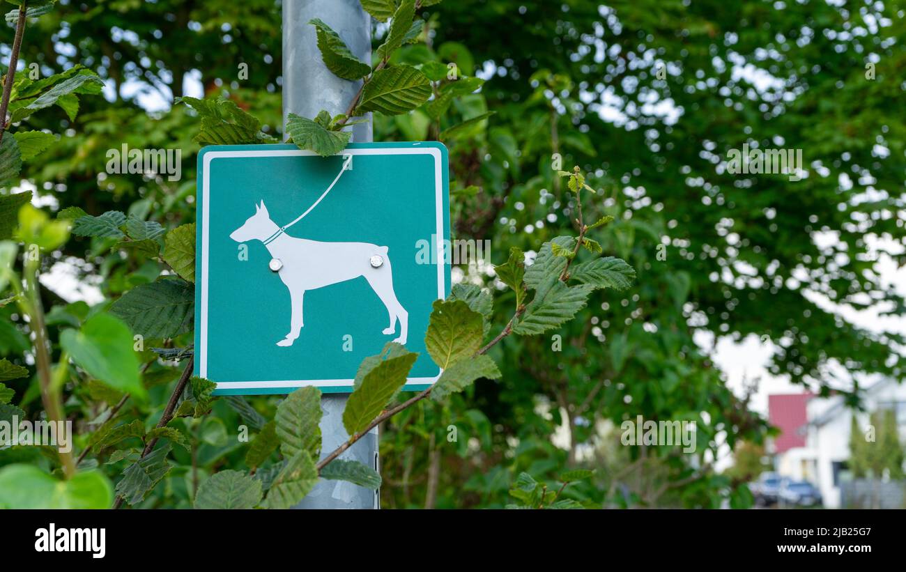 Sign the leash on the dog obligatory Stock Photo