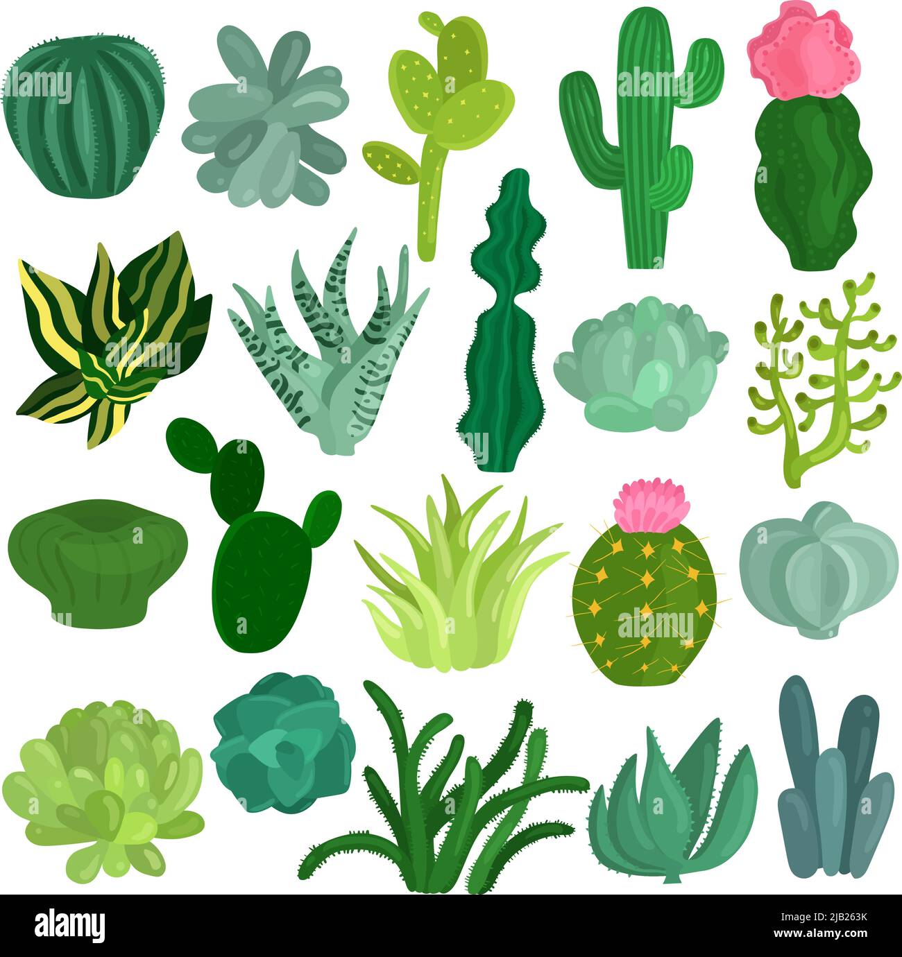 Cacti and succulent plants varieties flat icons collection with aloe crassula echeveria opuntia euphorbia isolated vector illustration Stock Vector