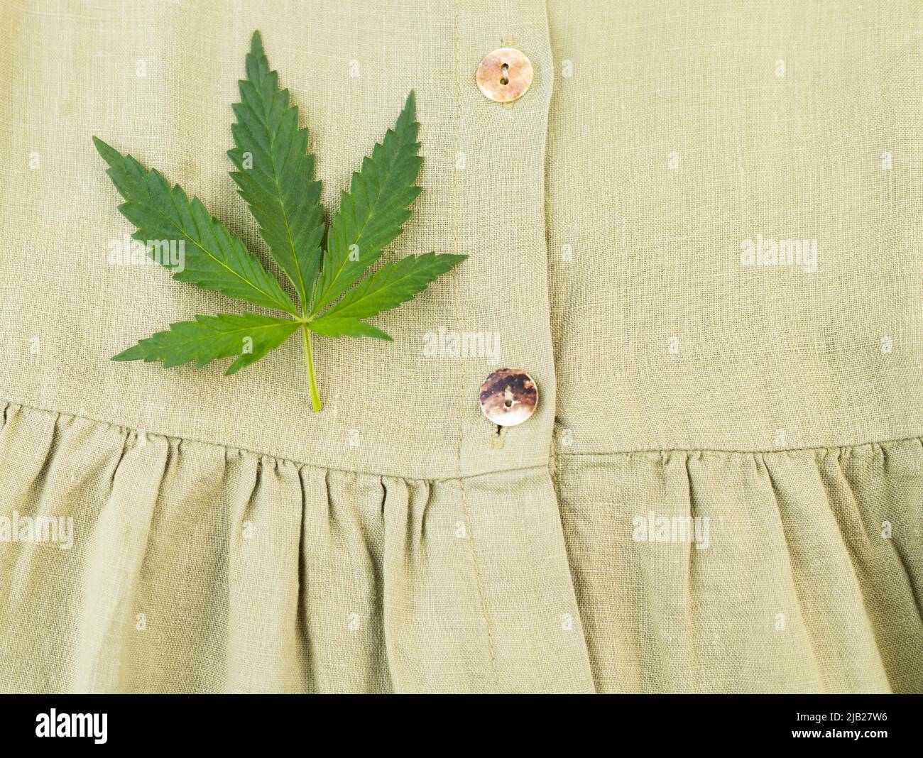 Close-up of an organic hemp fiber dress with a hemp leaf Stock Photo ...