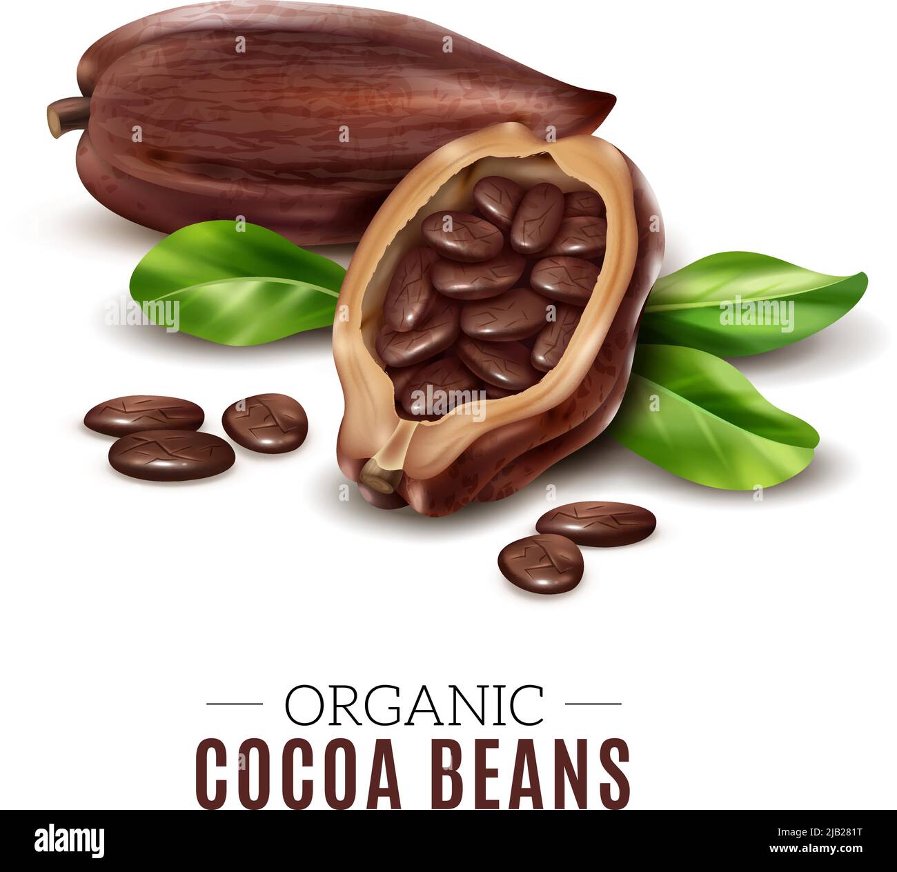 Cocoa Life Р»РѕРіРѕС‚РёРї