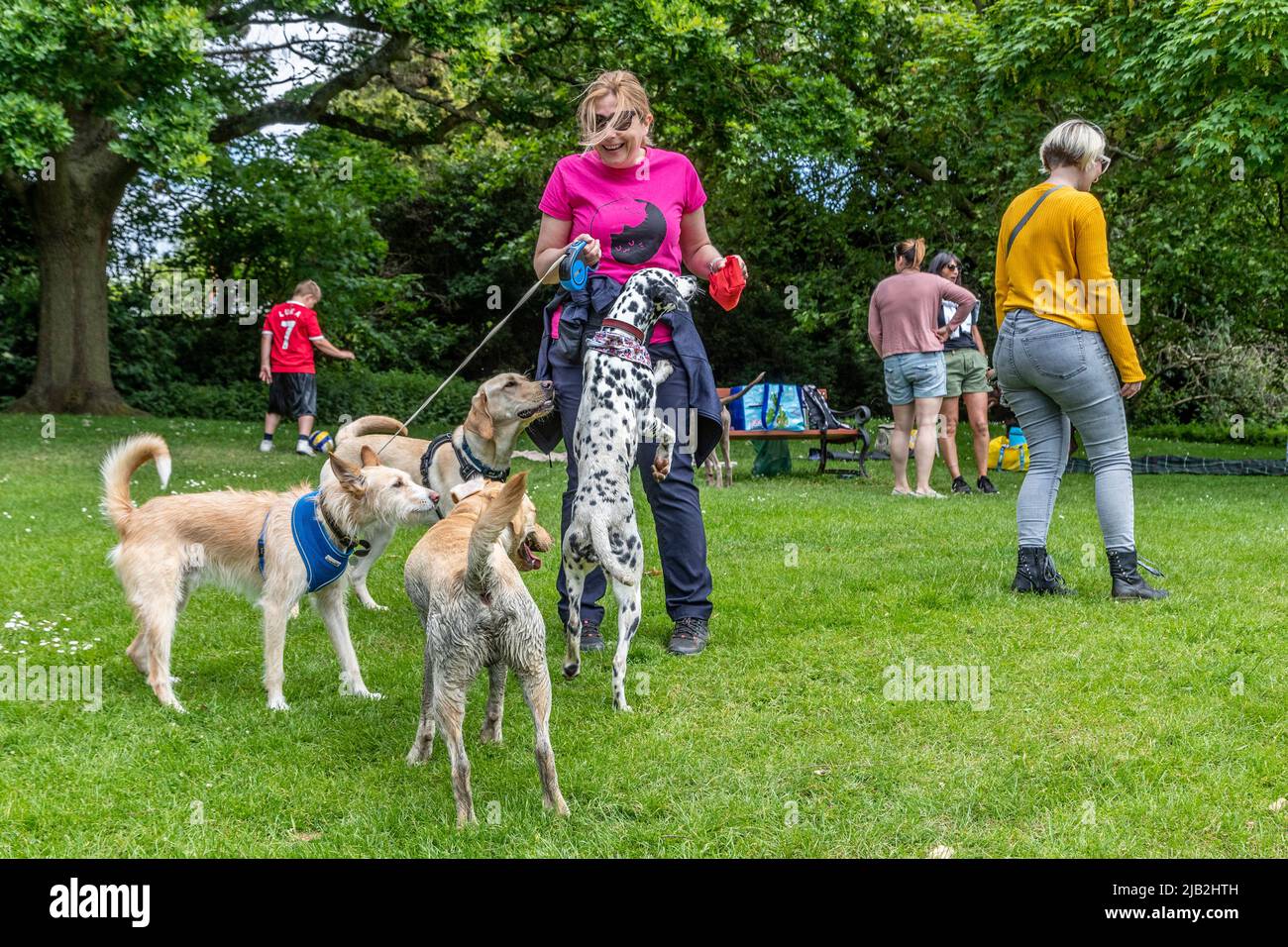 Northampton UK. 2nd June 2022. Jubilee dog party in Abington Park